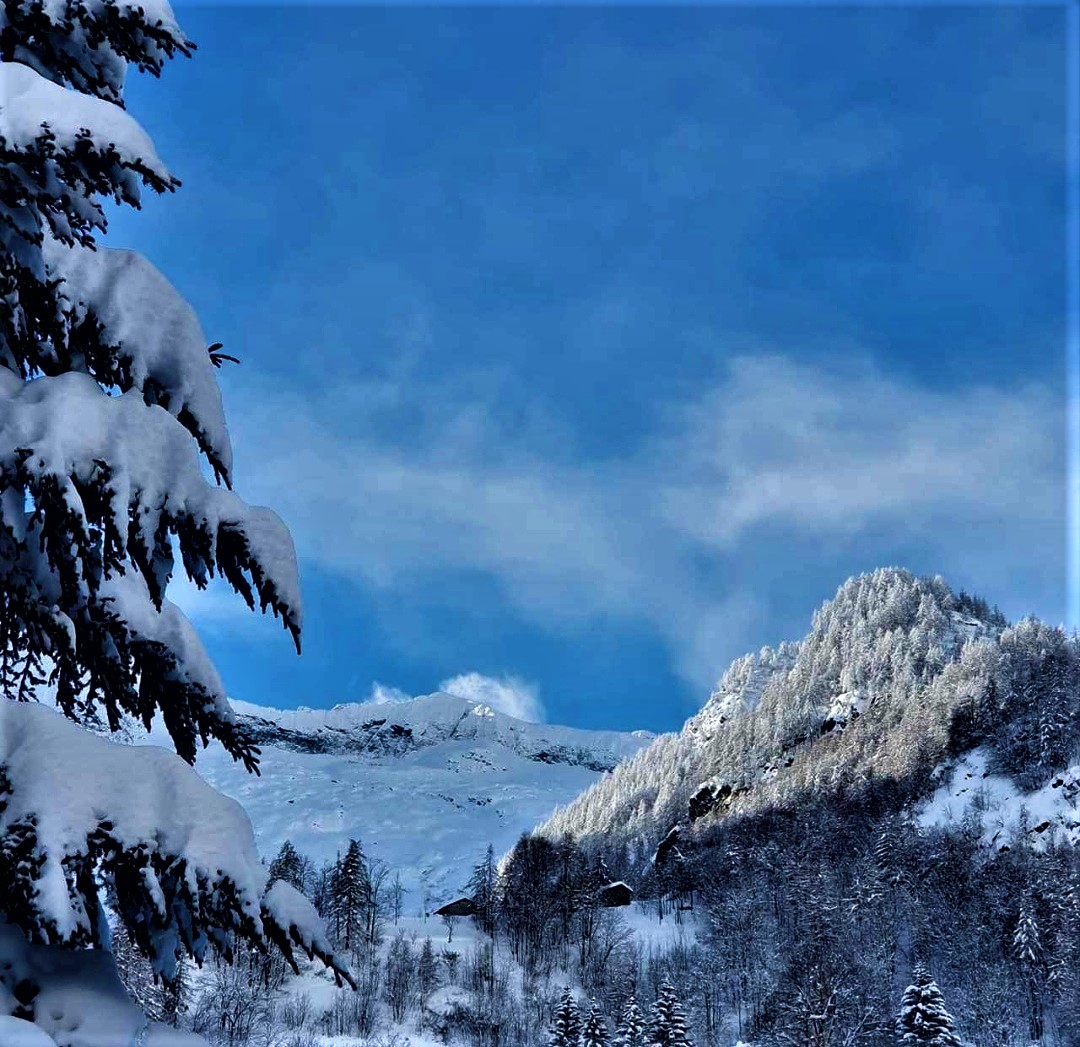 paesaggio di montagna