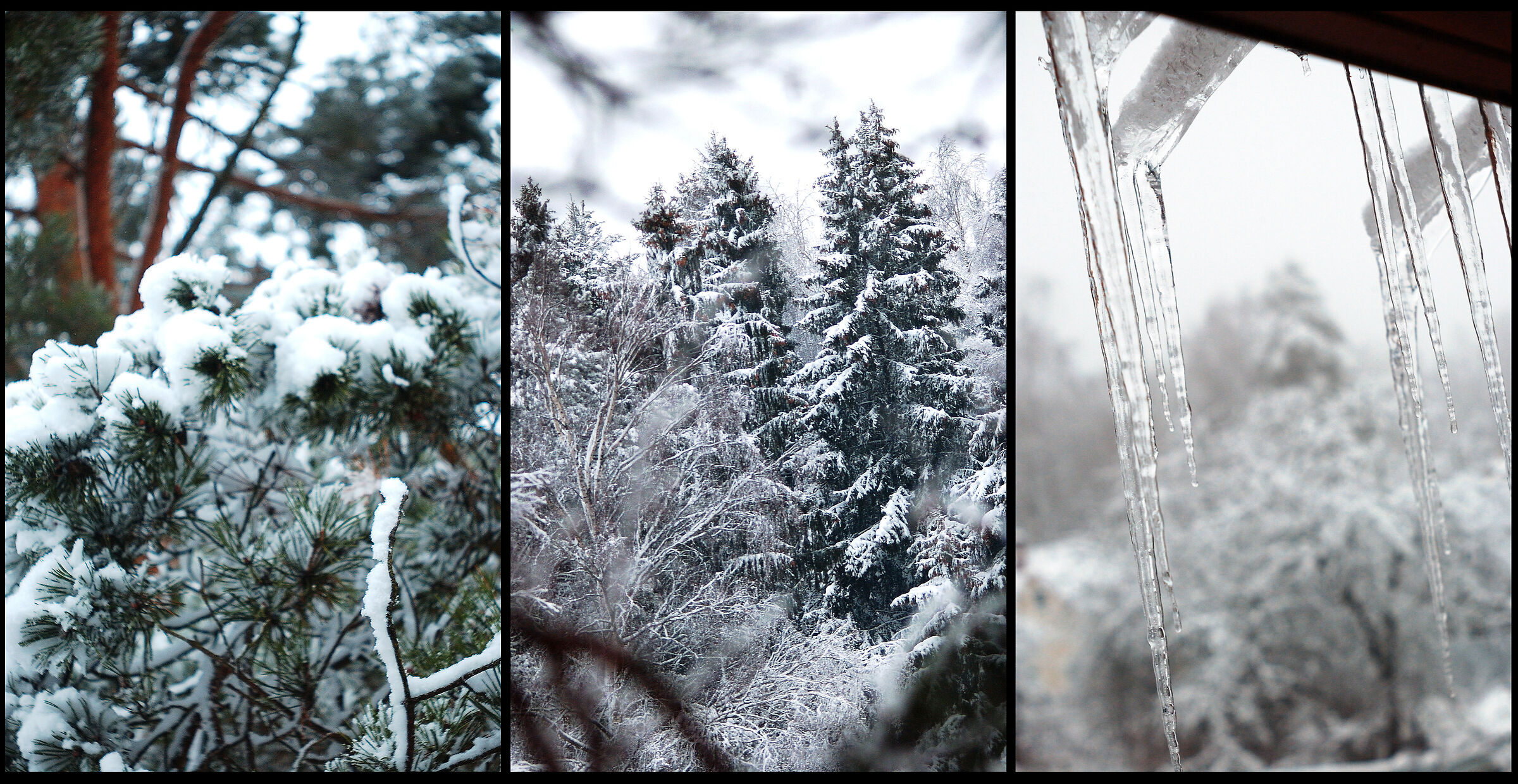A Winter`s Tale (Triptych)