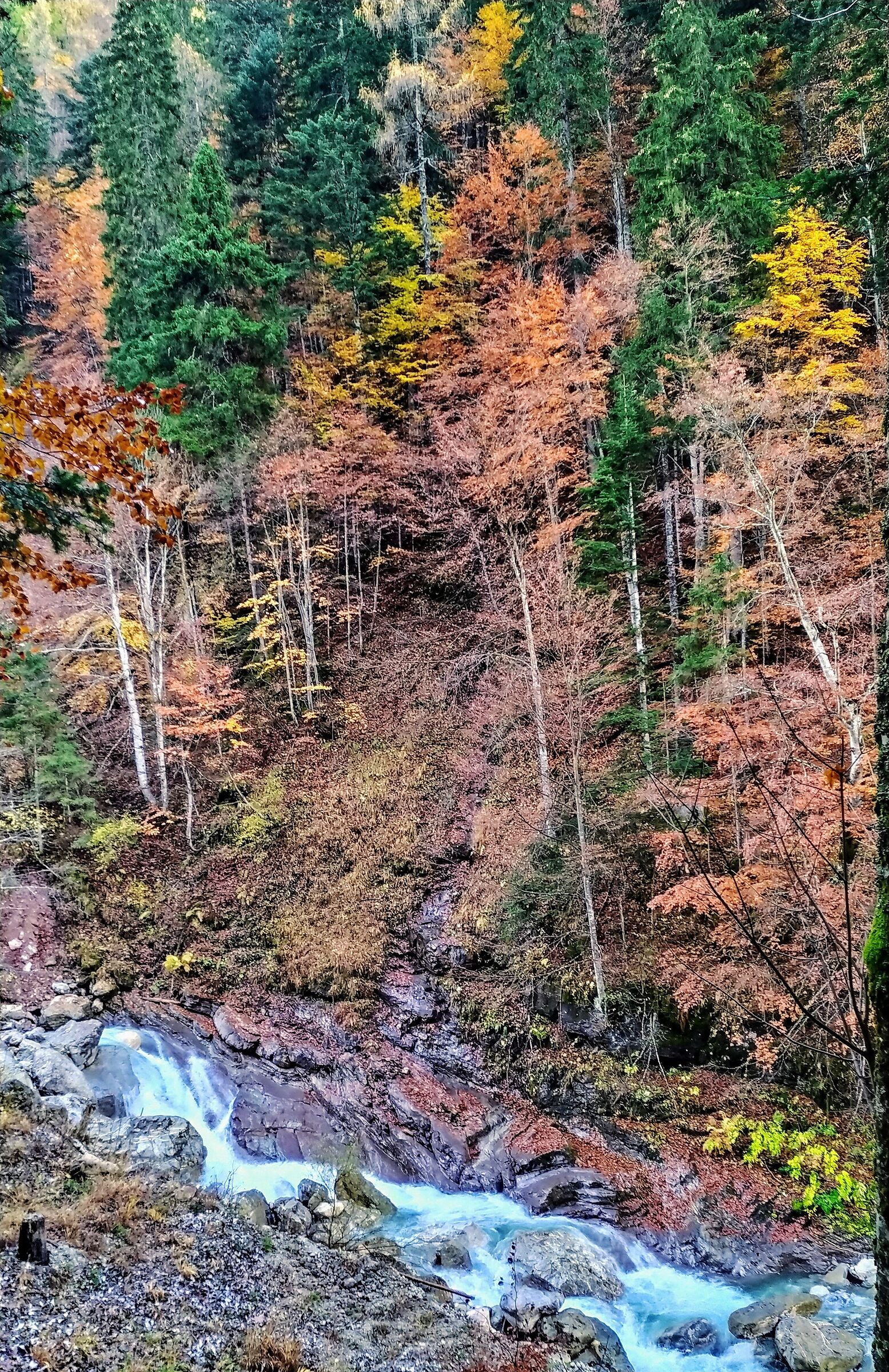 Autumn colors