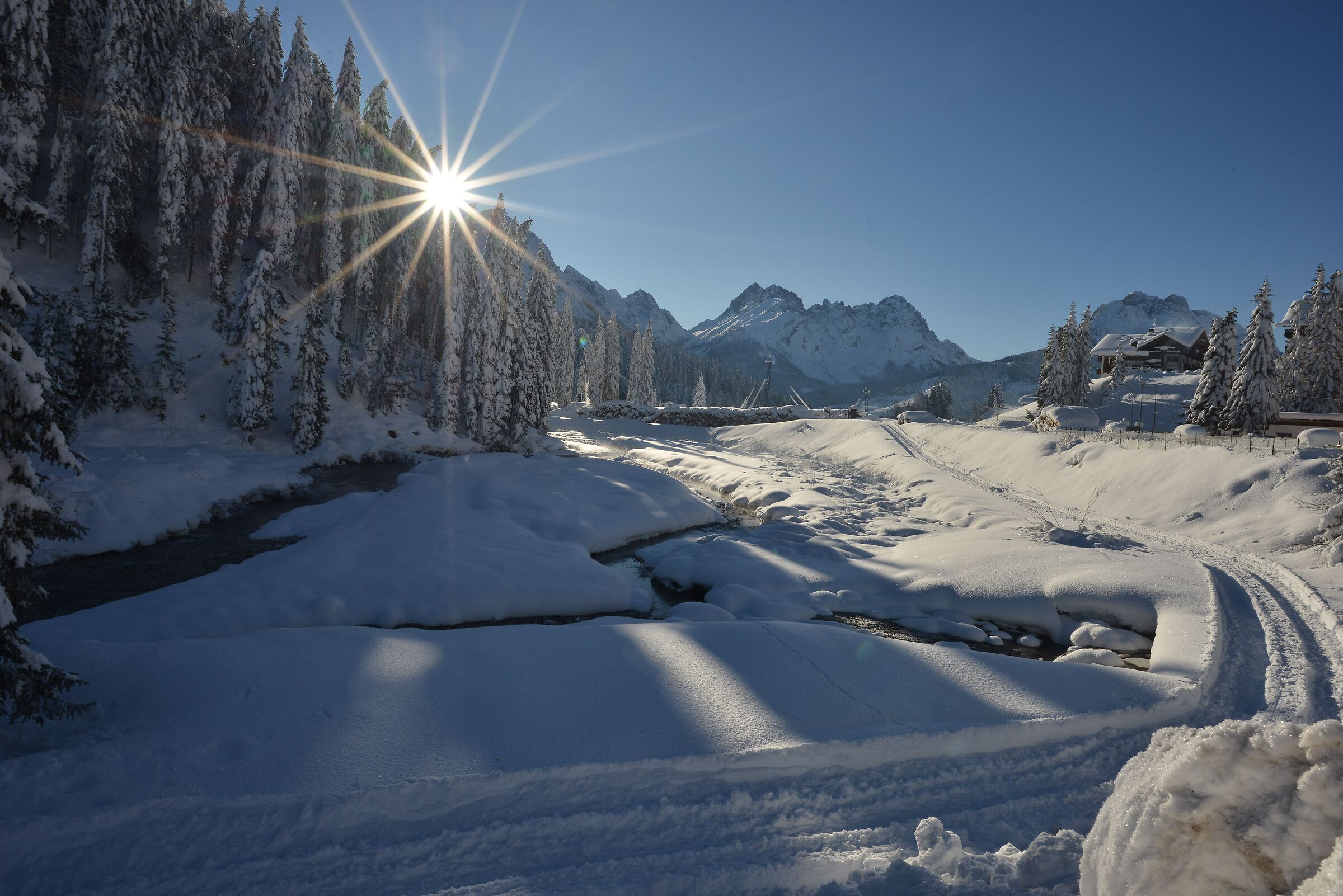 Winter landscape
