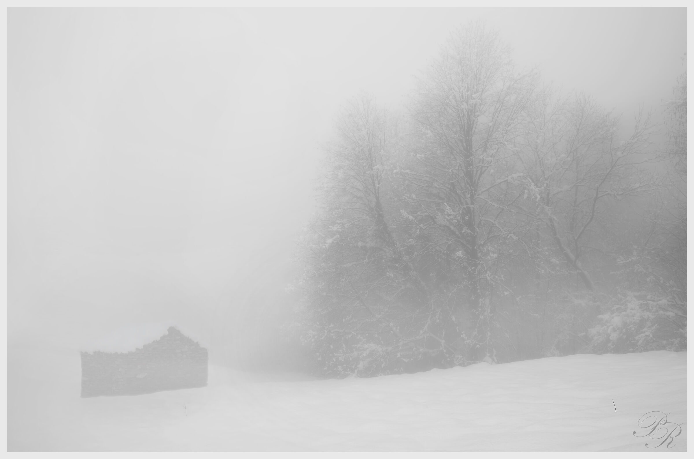 Snow and fog