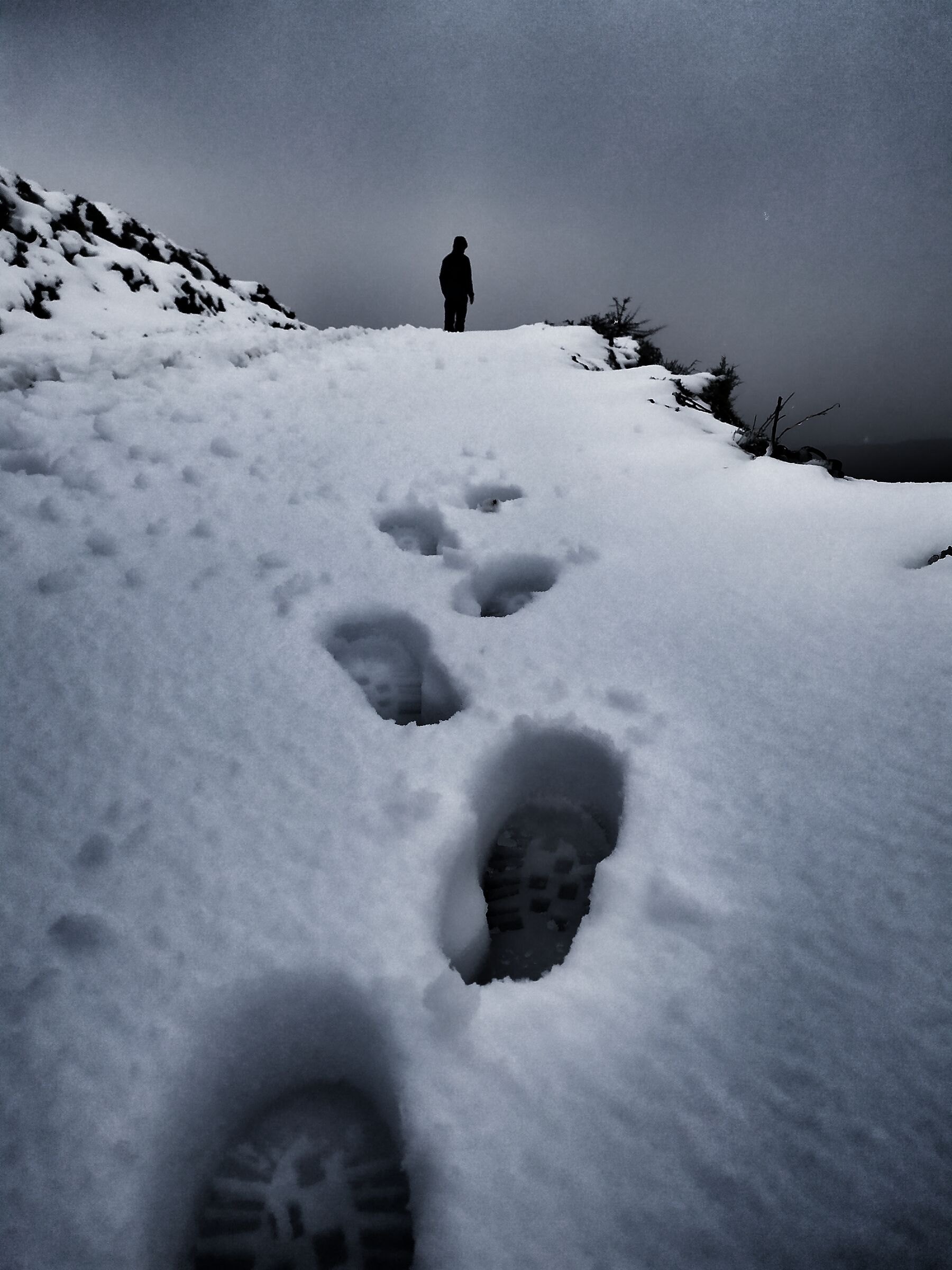 Footprints in the Snow