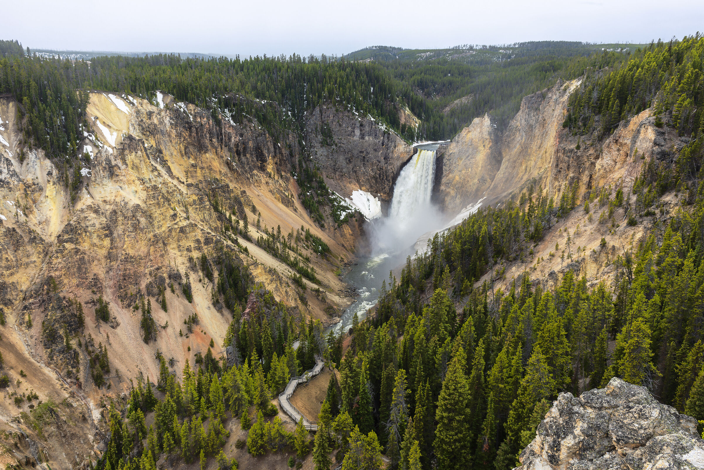 yellowstone national park