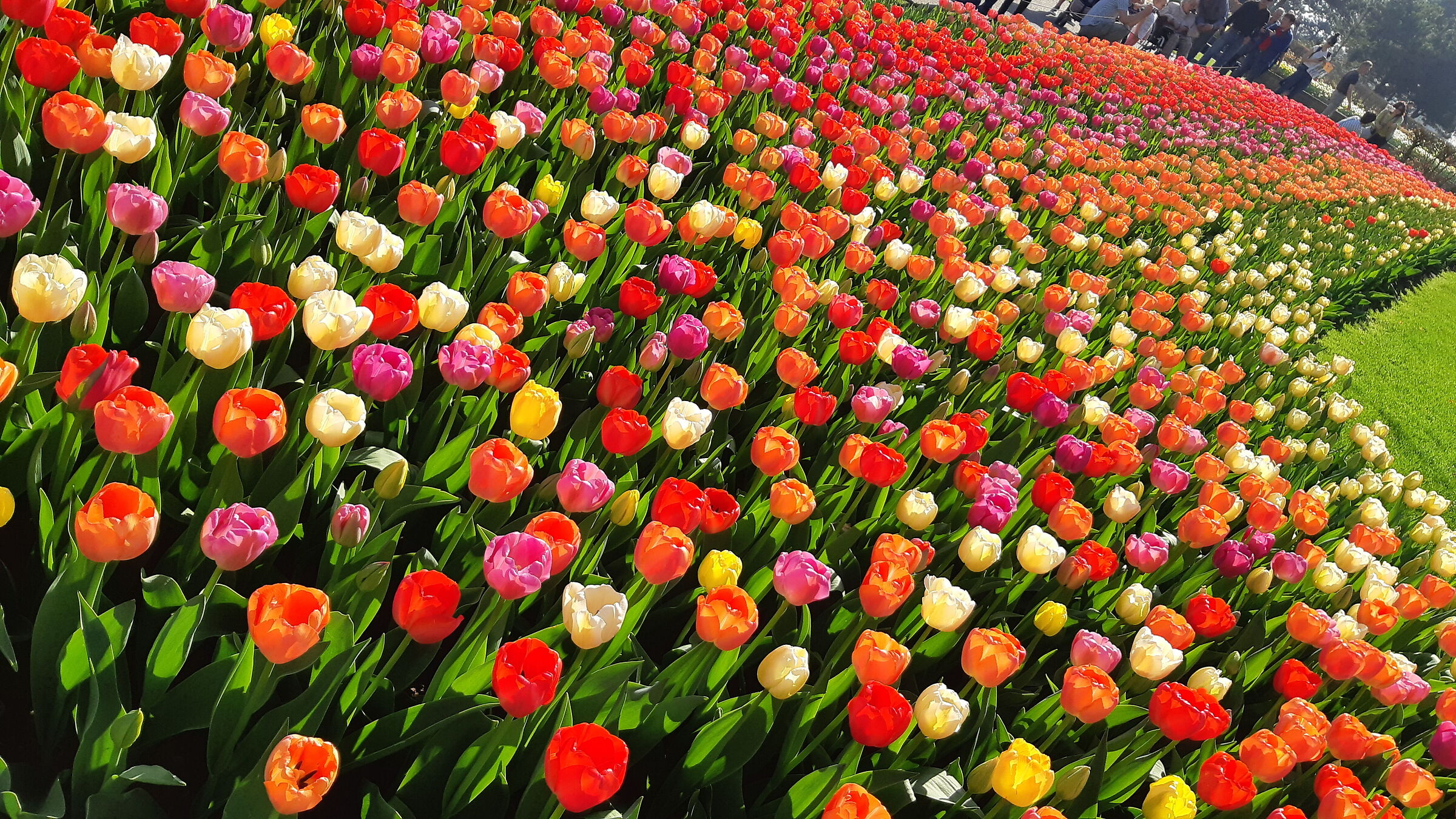 There are many of us...