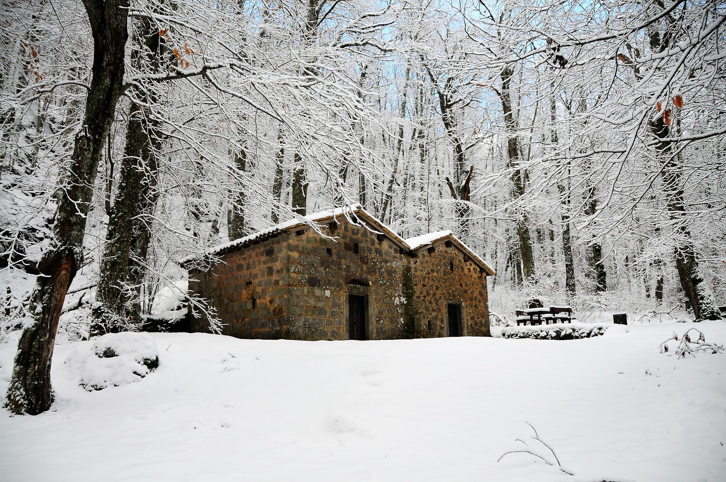 seccatoi in Vivo d'Orcia