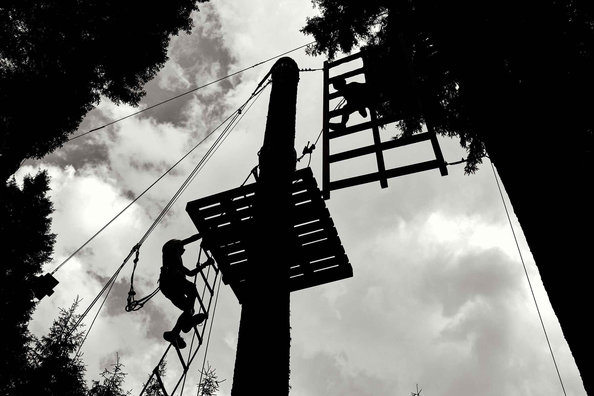 like monkeys in the shadows