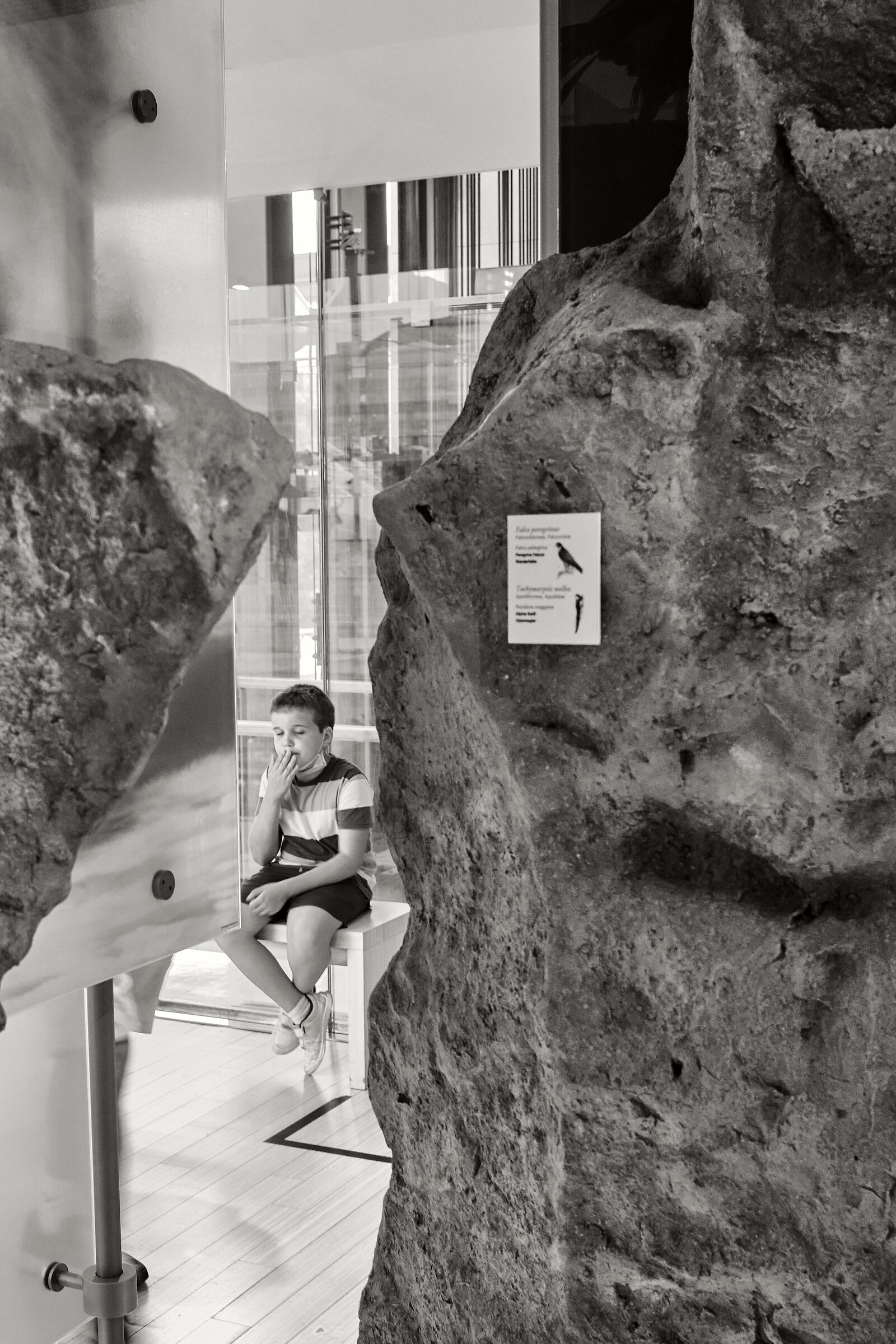 that bore the museum