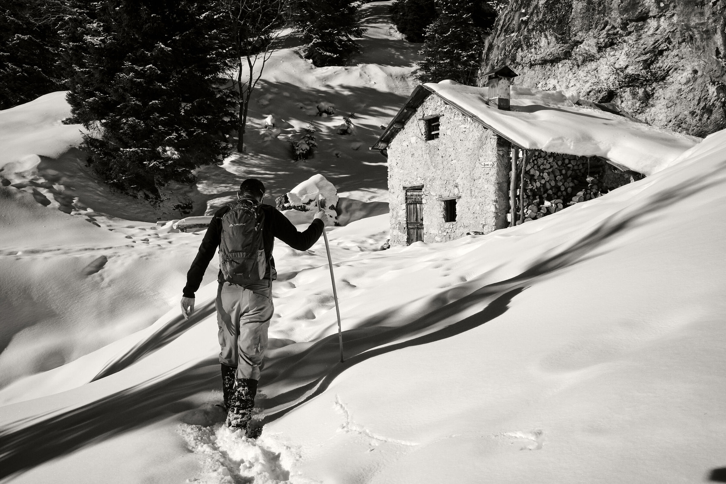 in search of shelter