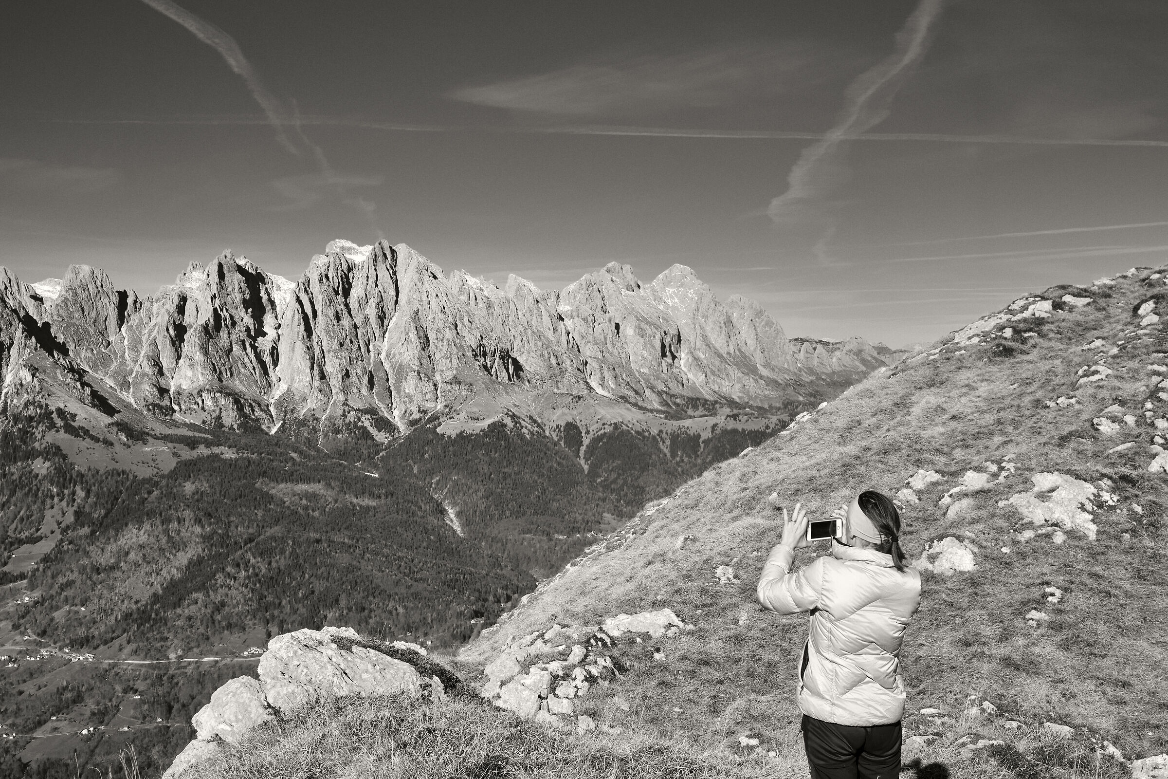 too good not to photograph