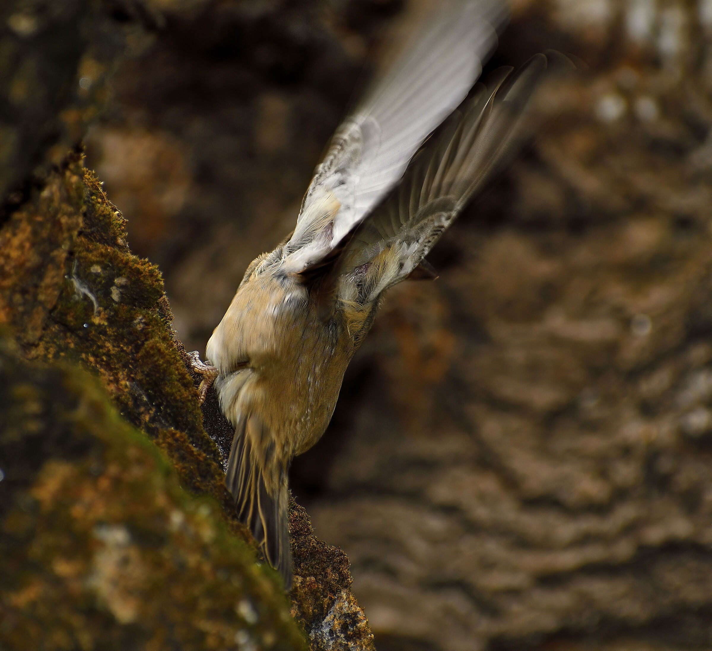 Pronto per il decollo...