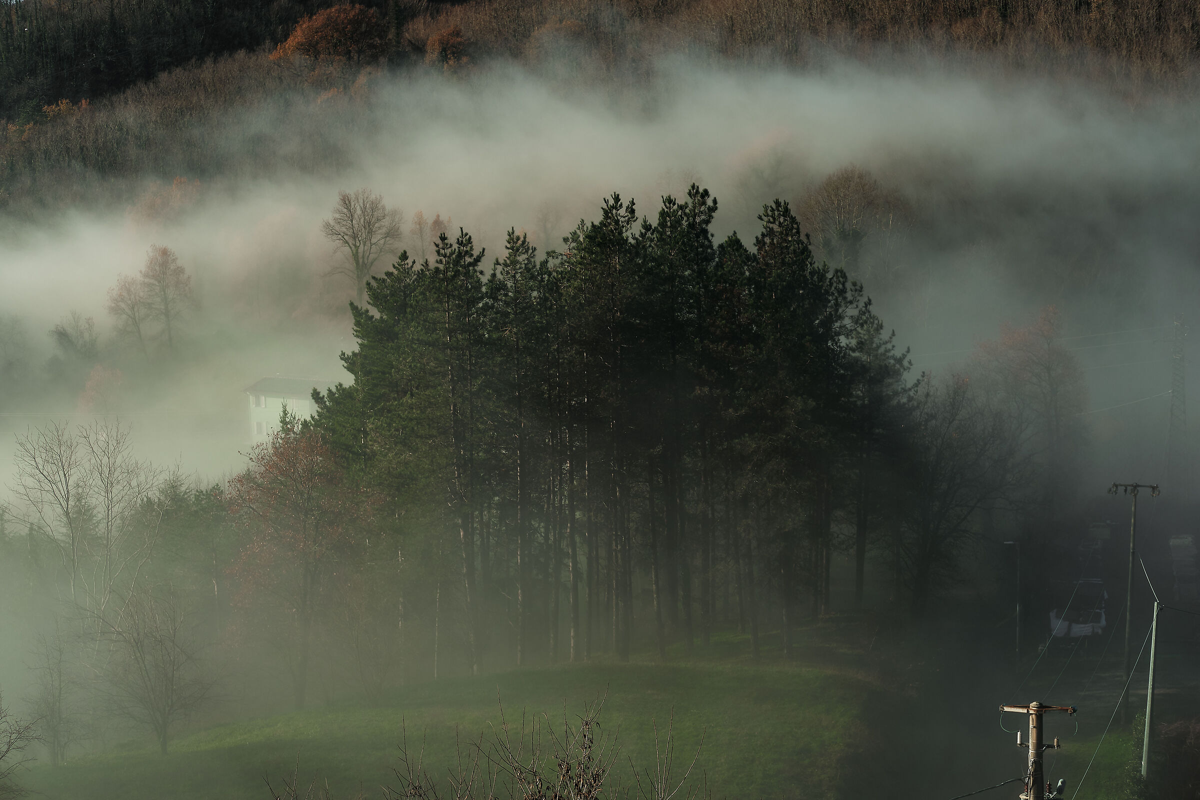 La nebbia che se ne va all'invechiare delle mattine
