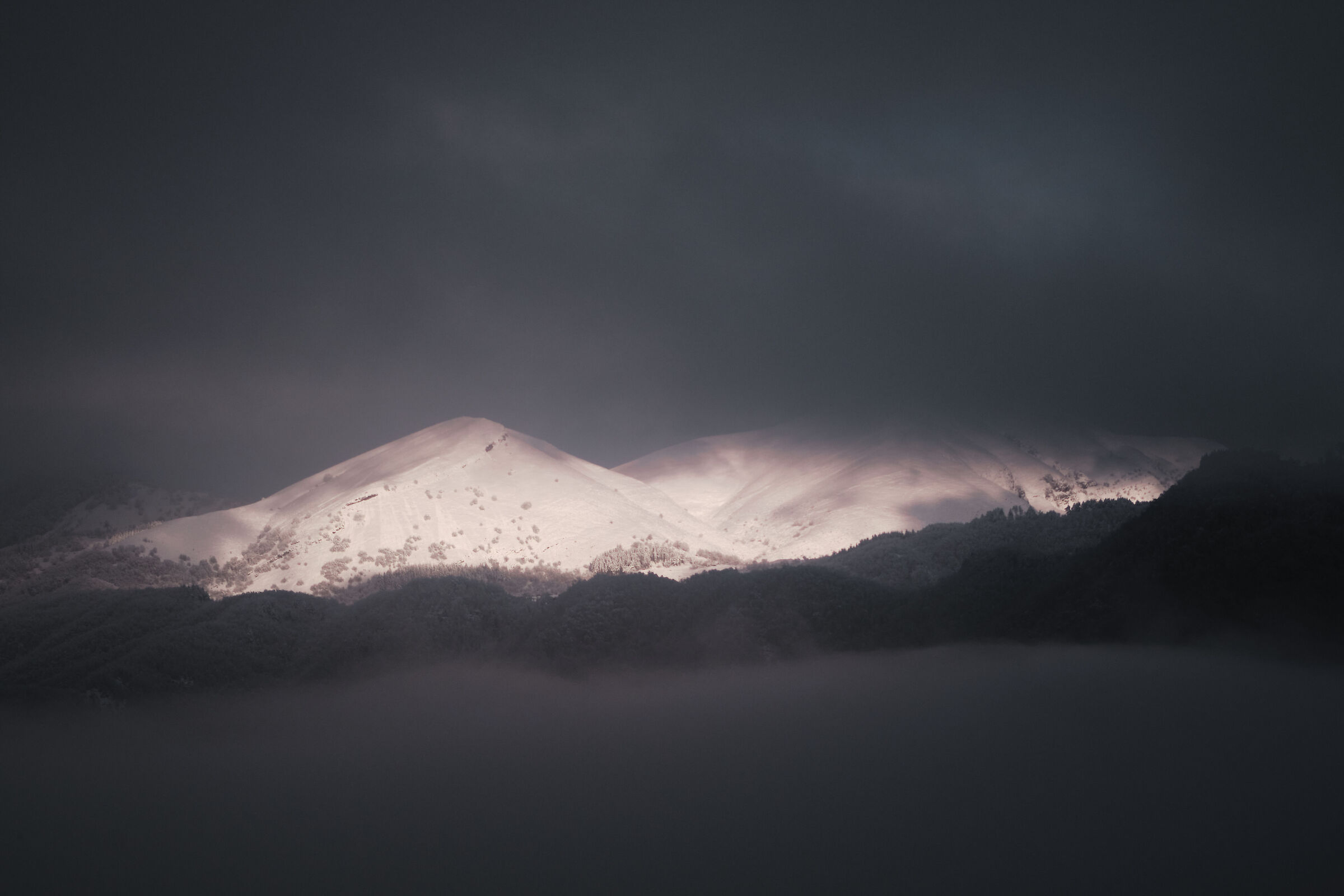 Fascia libera tra la nebbia