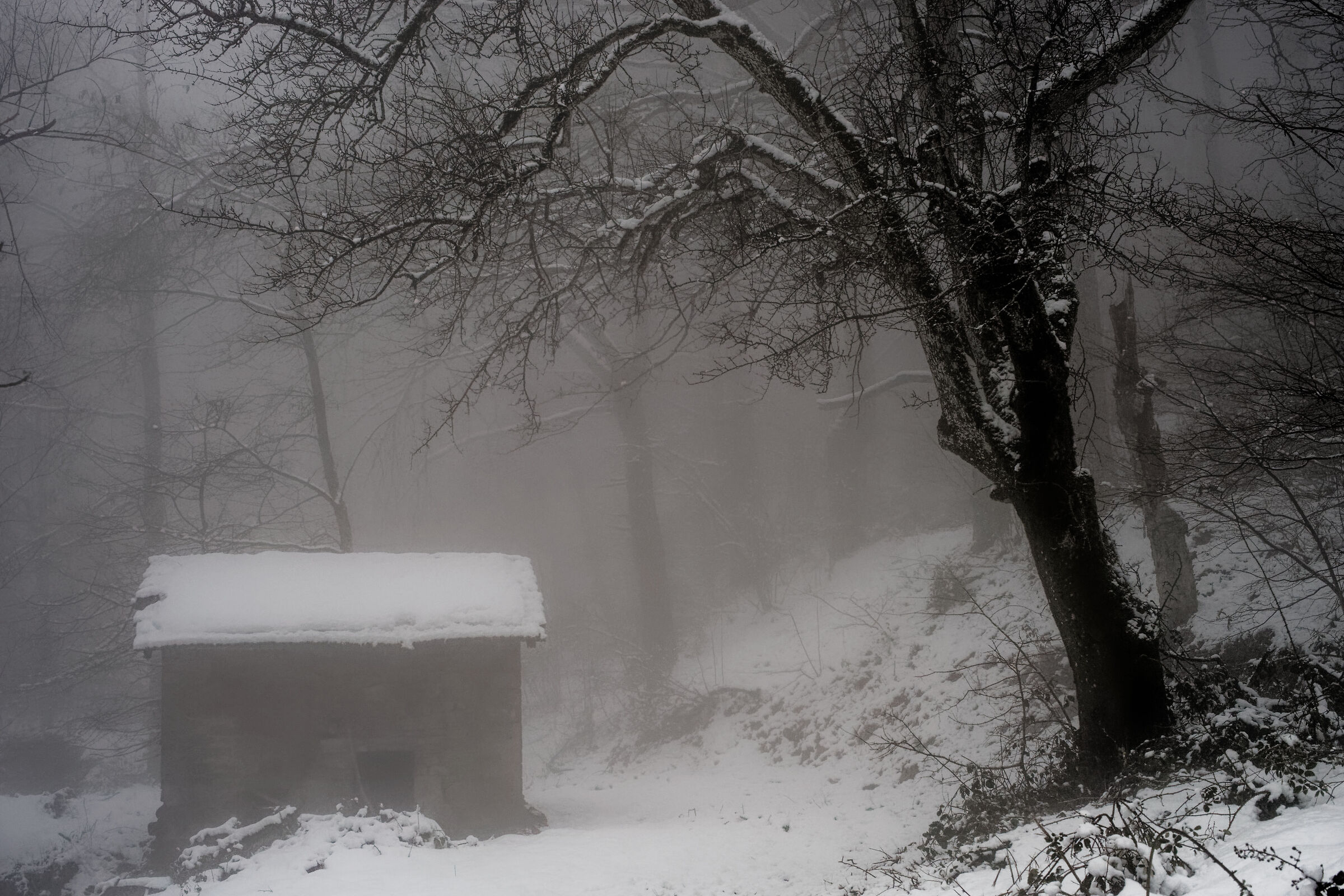 Due passi a Bagnabecco