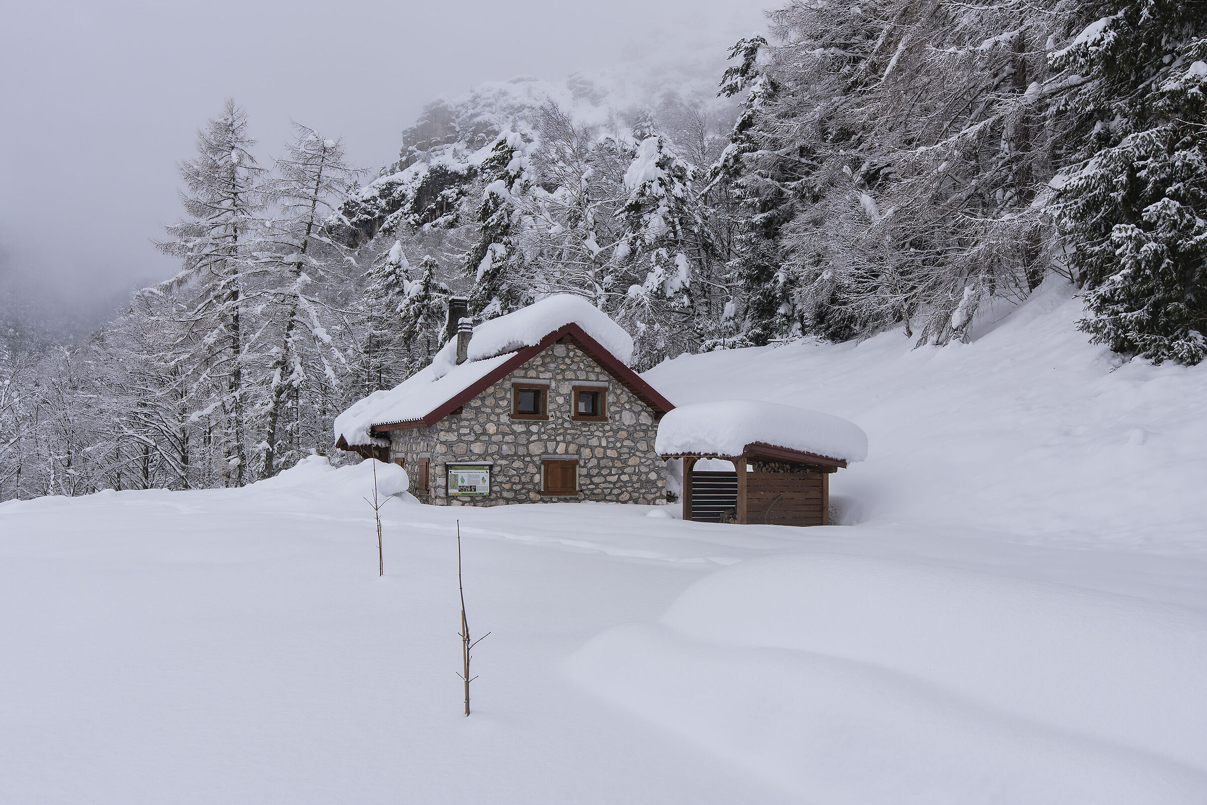 A nice snowfall January 2021 Carnic Alps