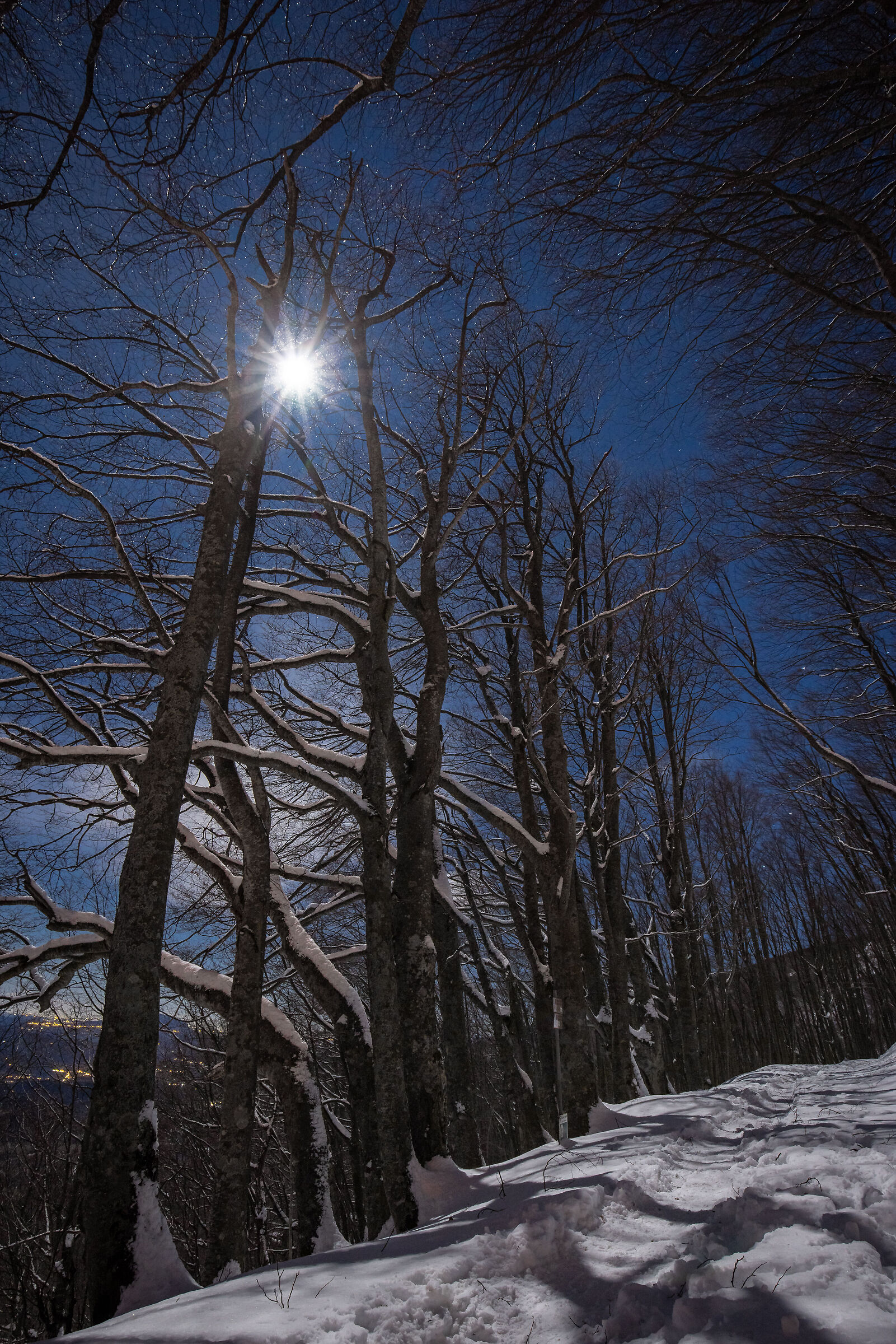 Moon Light - 1 Gennaio 2021