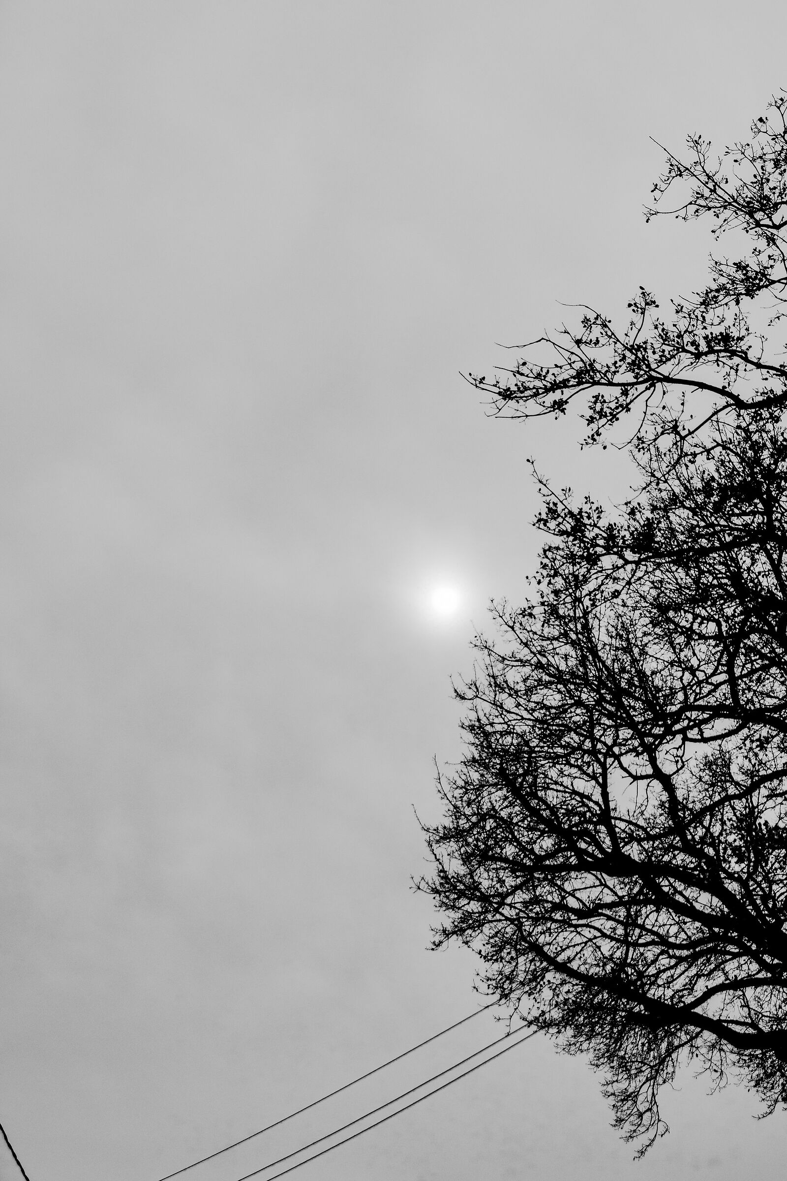 Sole nuvoloso