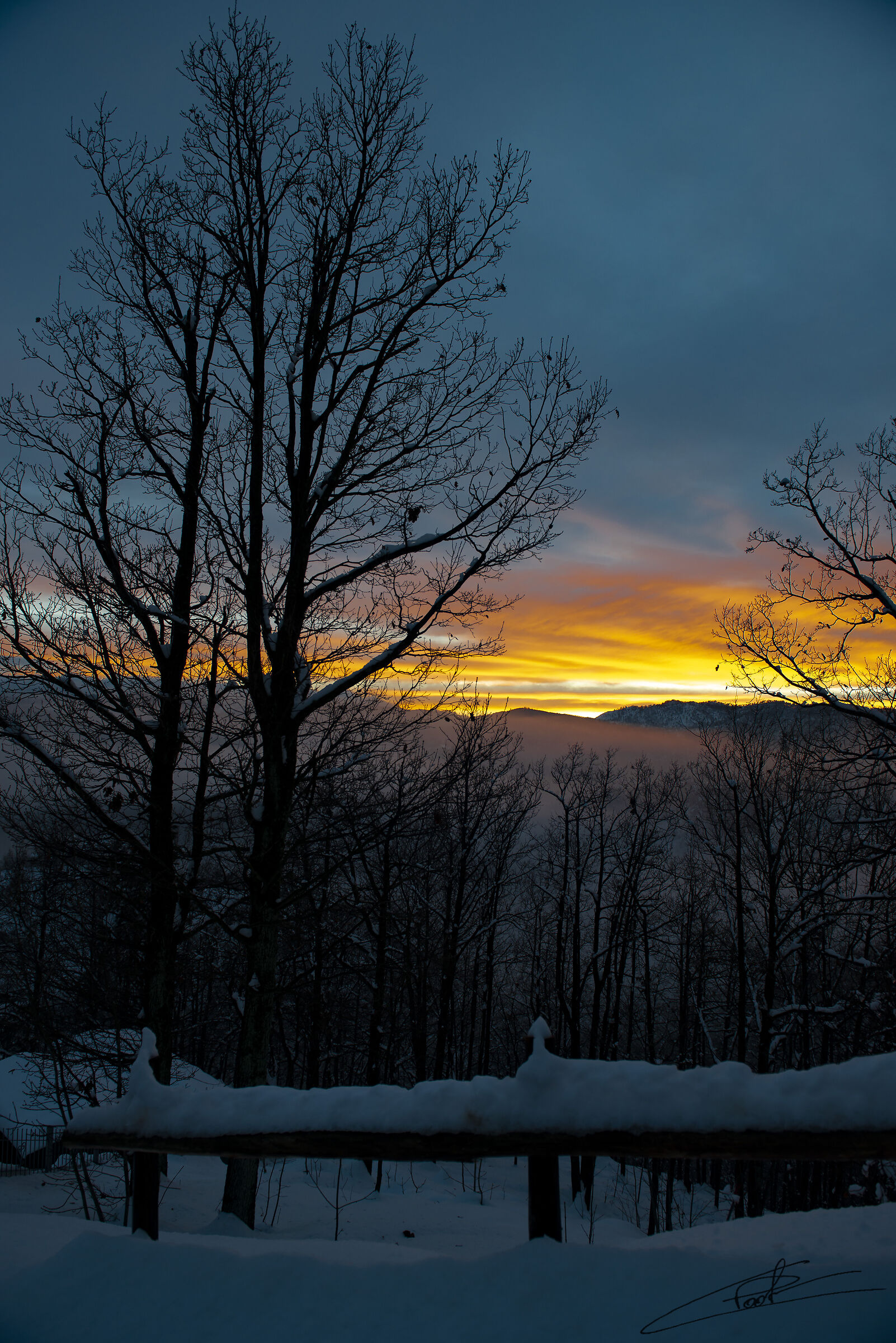 Untitled Photo