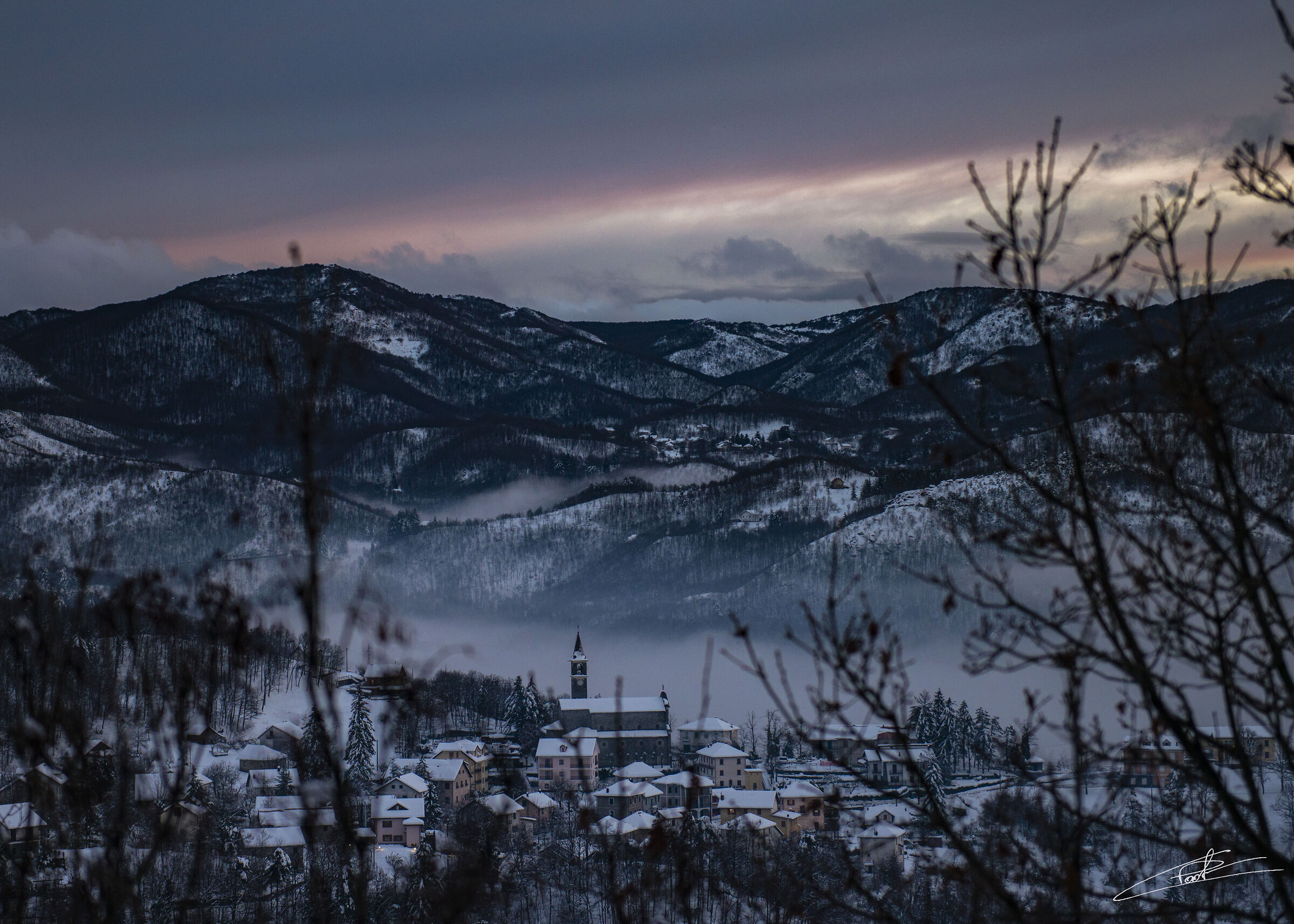 Untitled Photo