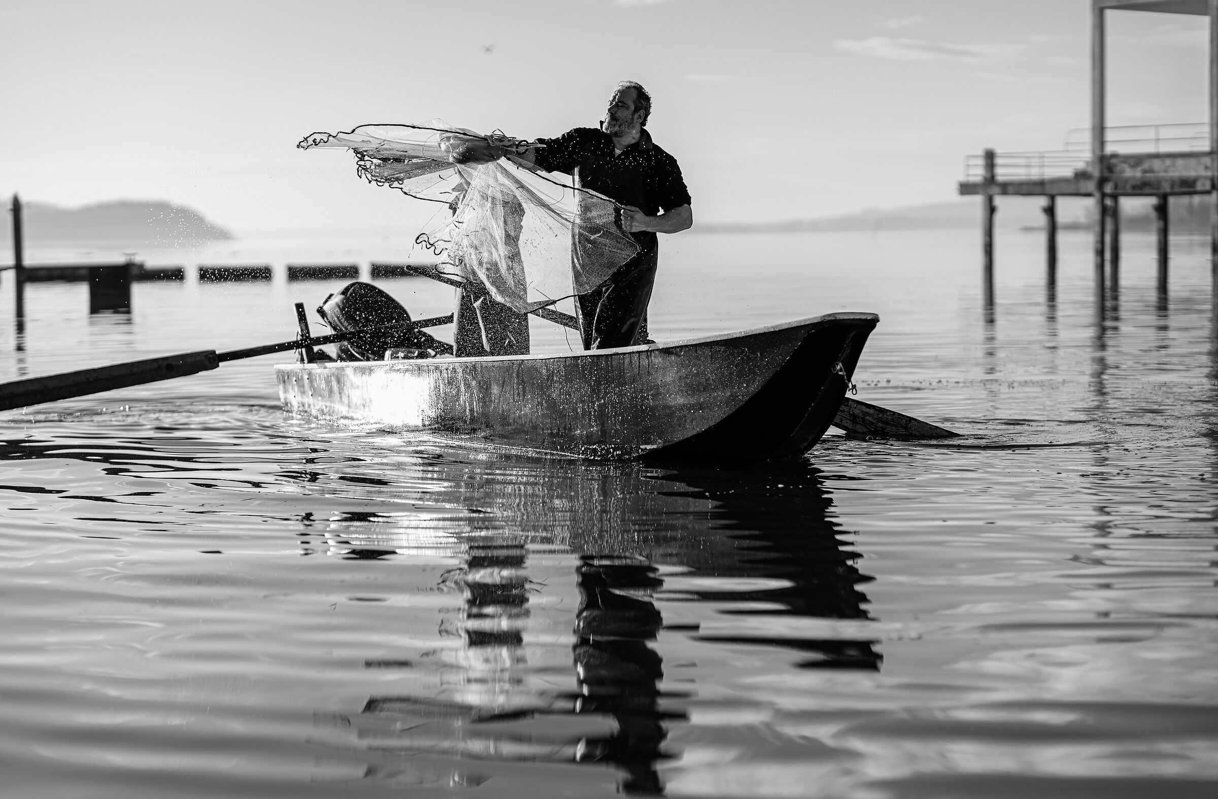 " La rete che cattura luce "