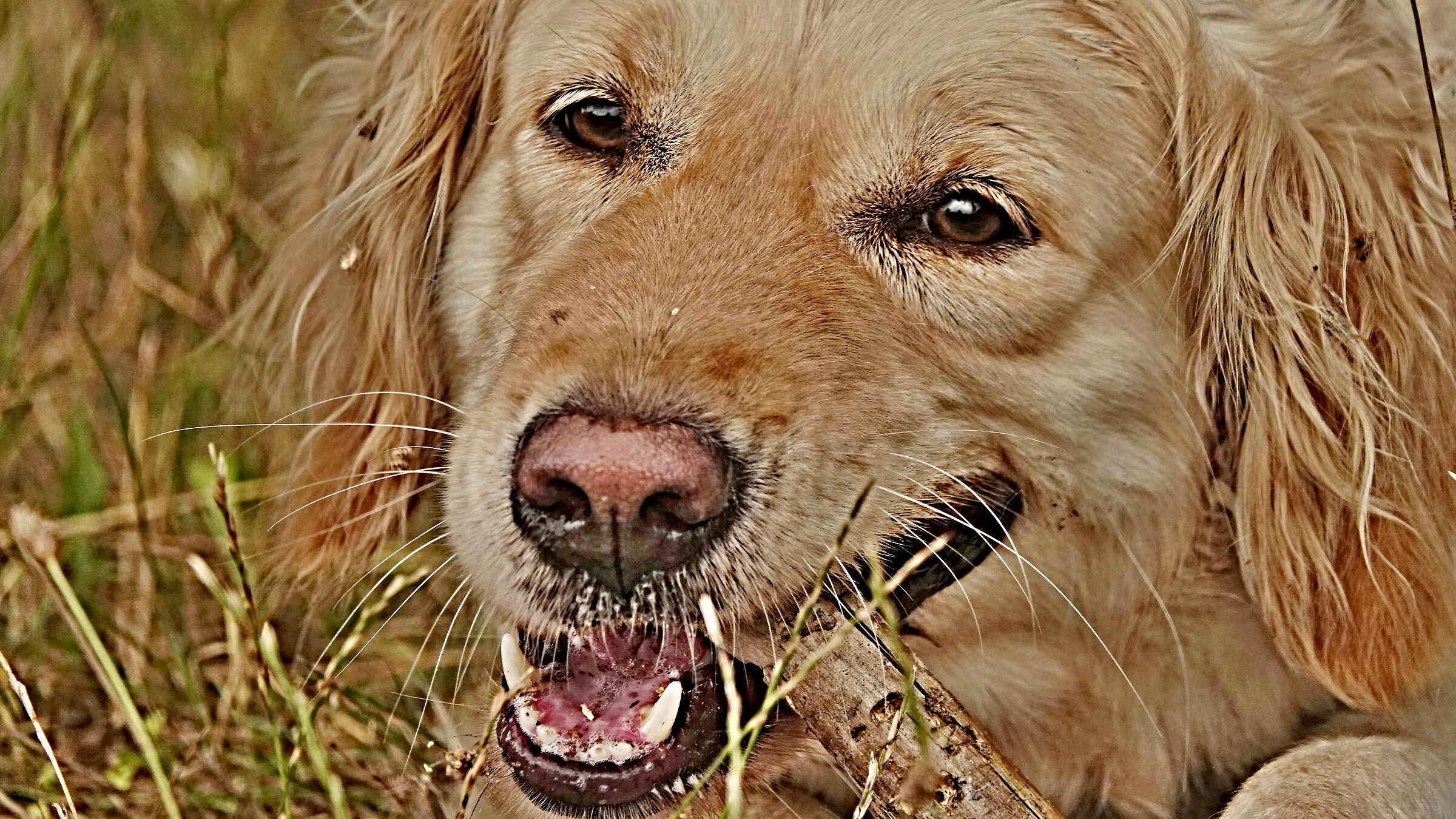 Un sorriso è . . . un sorriso
