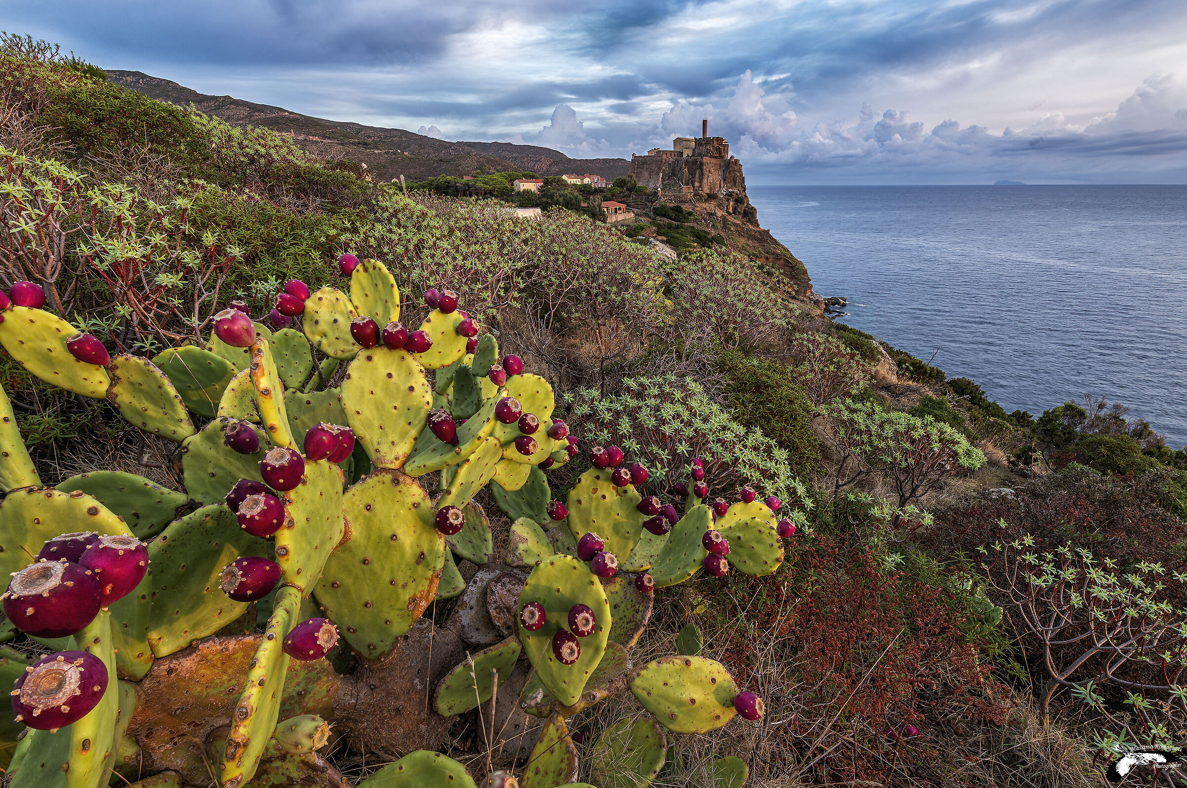 Early morning lights