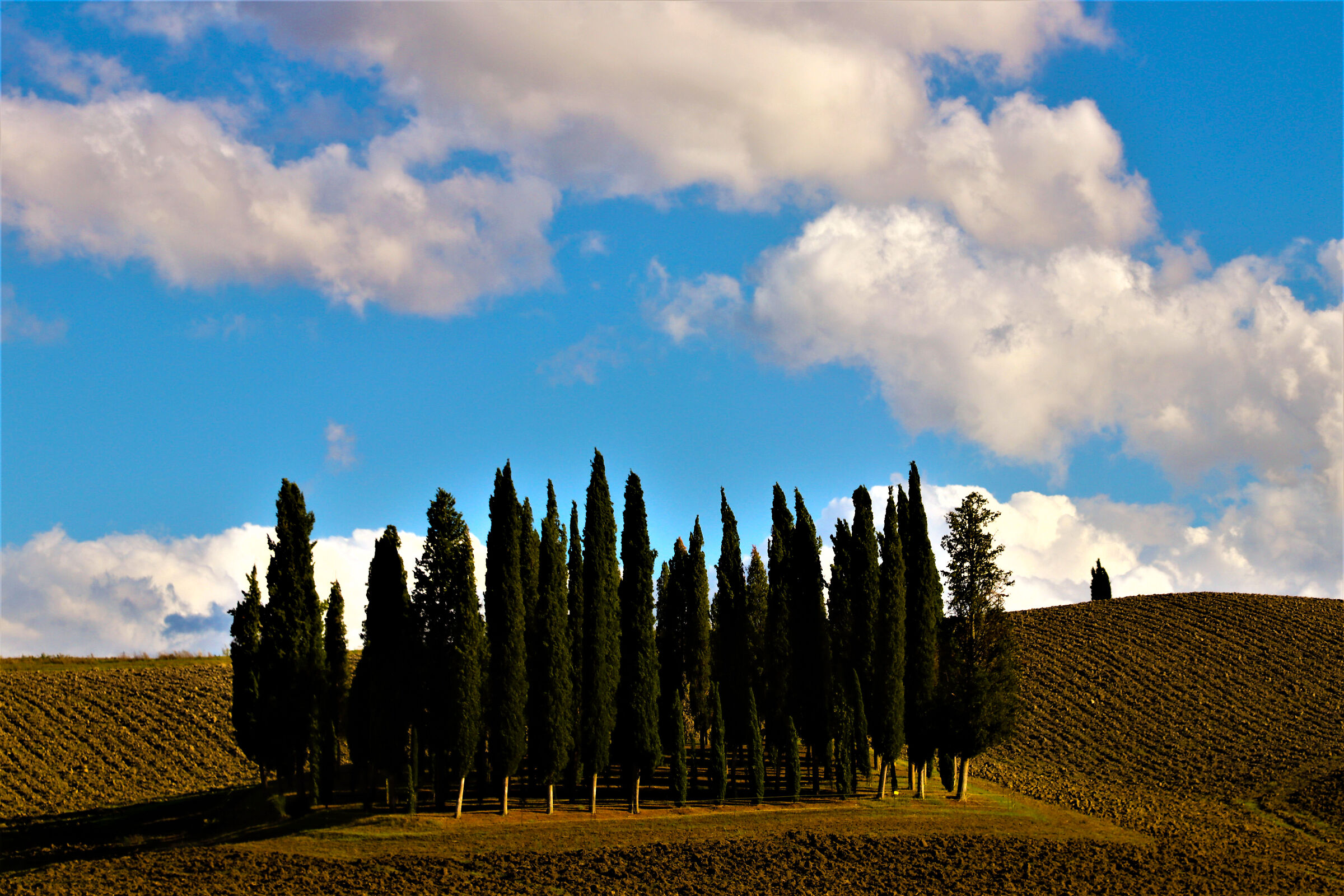 San Quirico d'Orcia