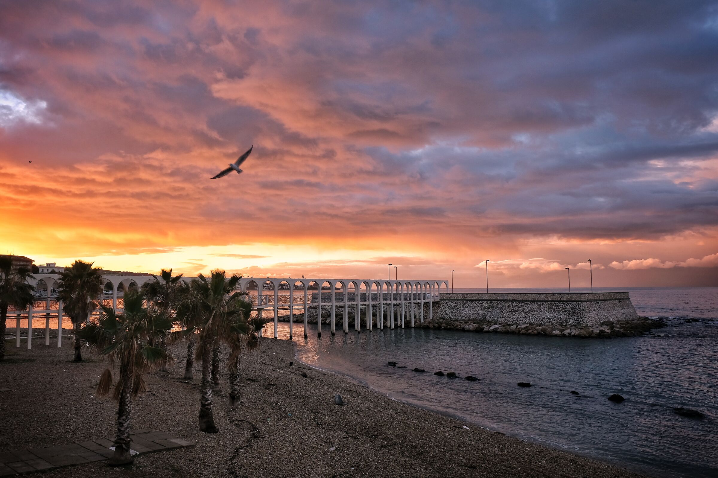 Dawn