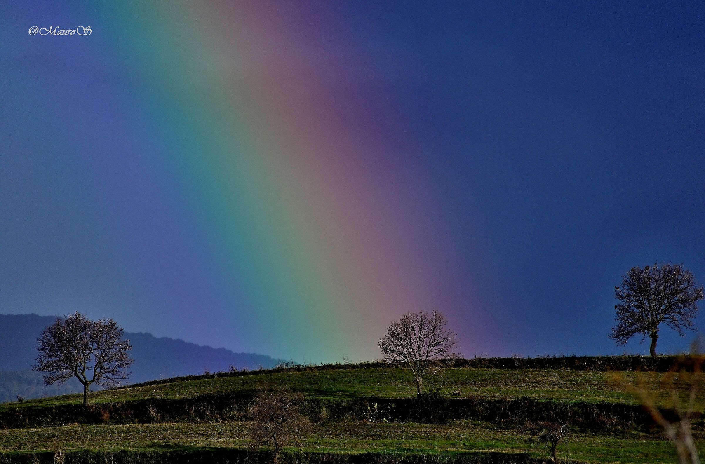 The Colors of the Rainbow