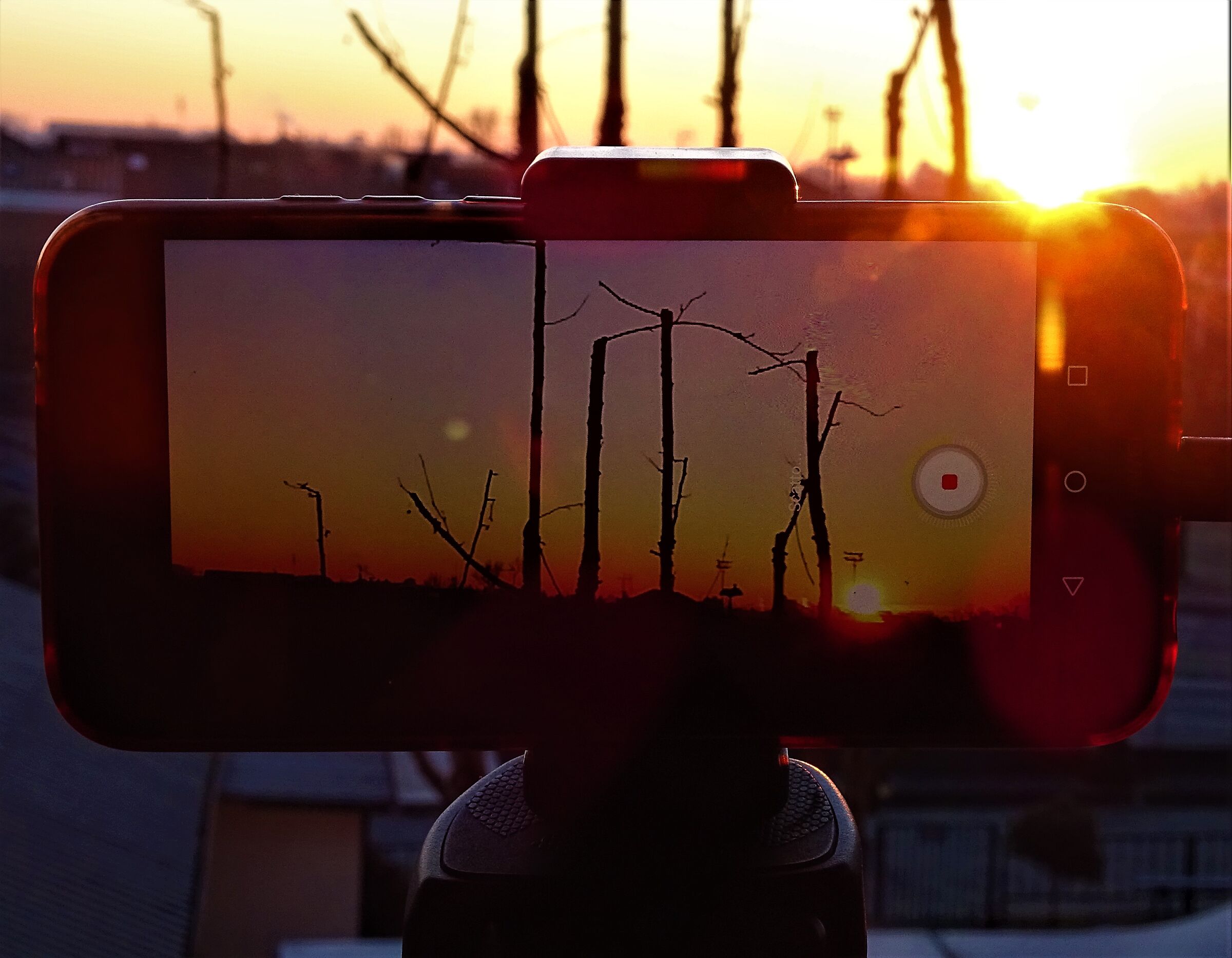 time lapse alba 08.01.2021