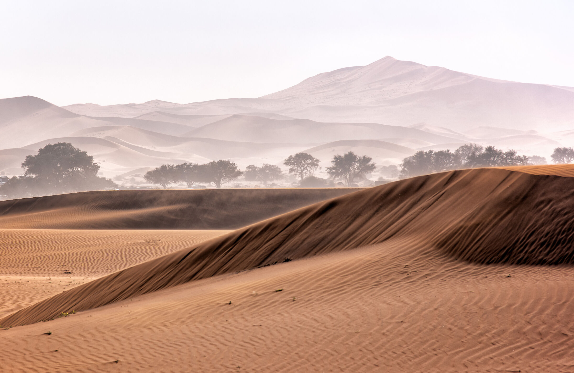 Loving the desert...