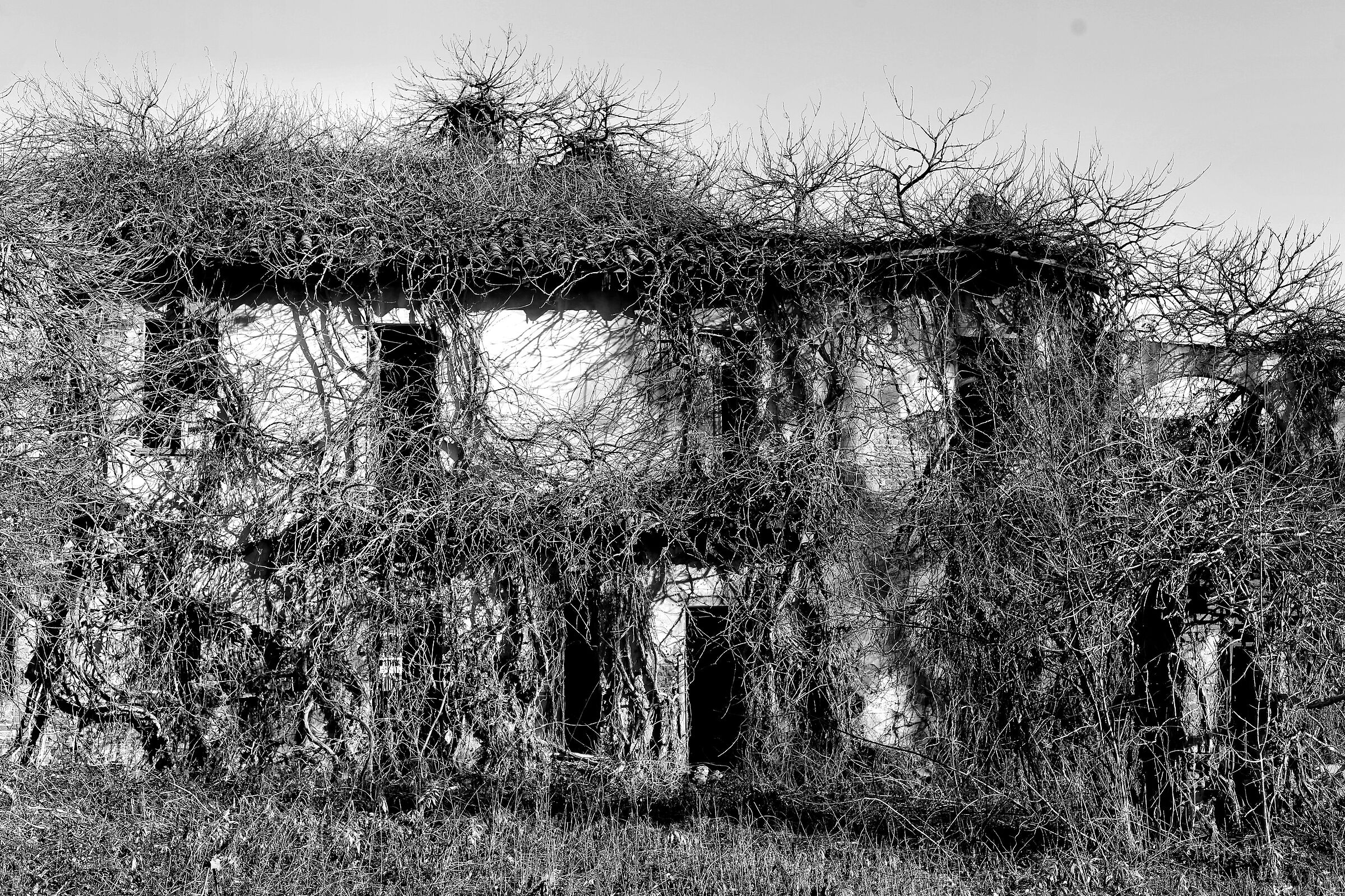 Ramosa house