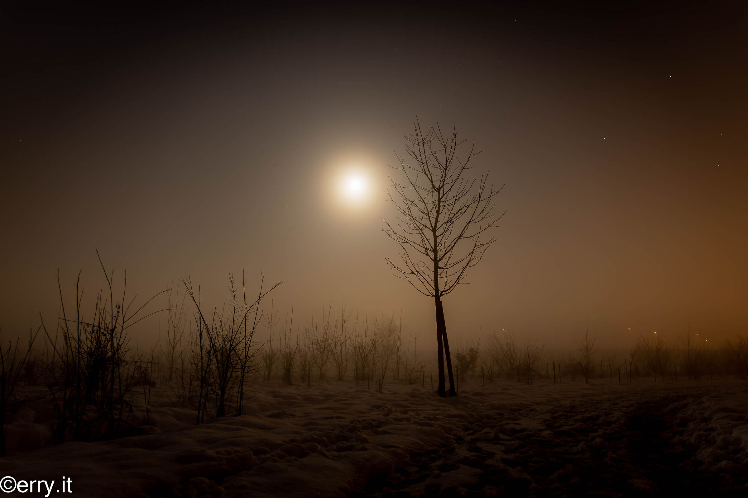 Nebbia e luna piena II