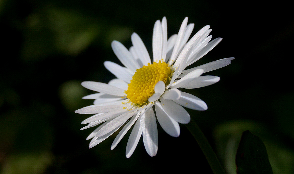 Oggi e' la giornata buona!!!