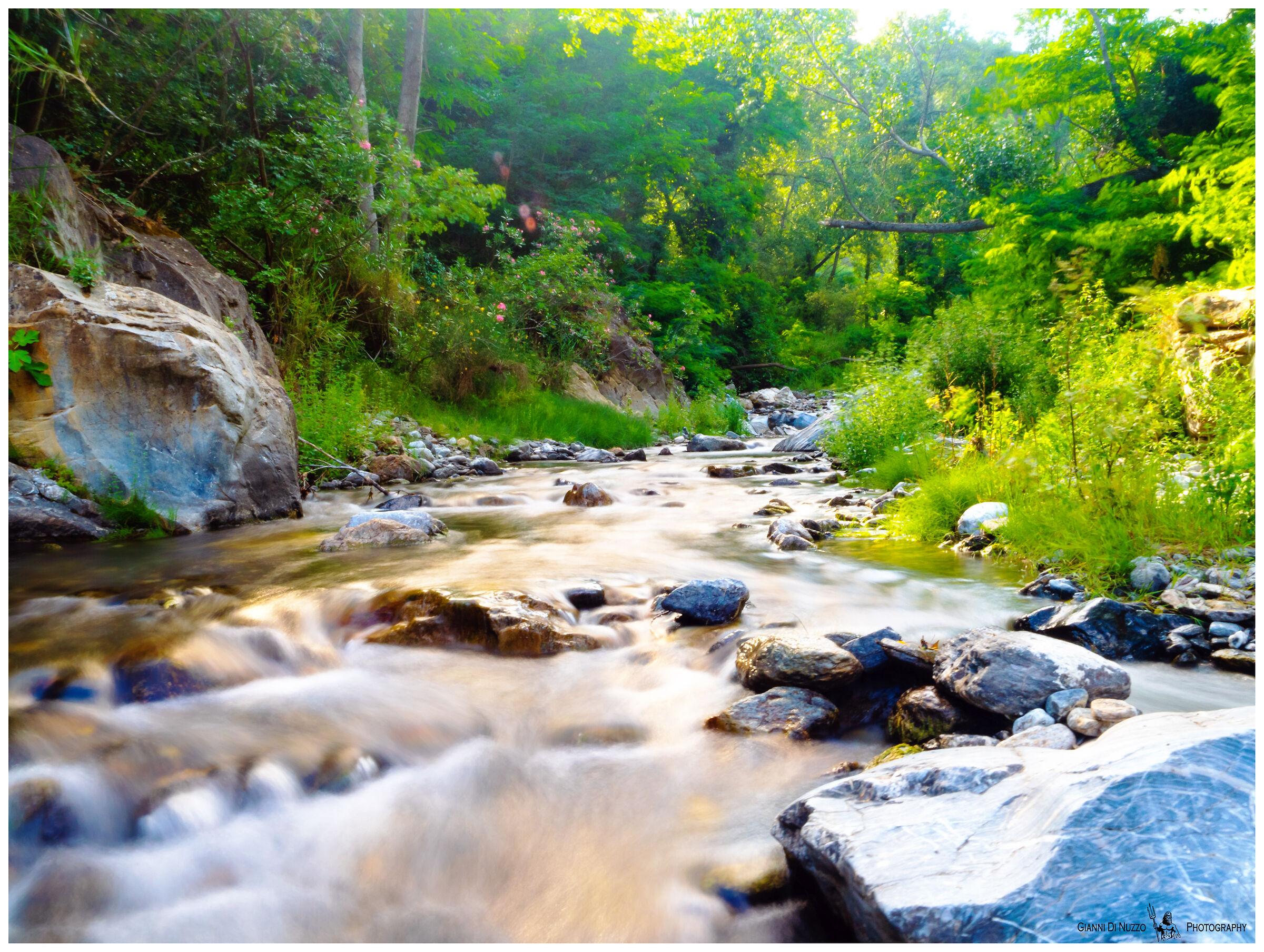 in mezzo al torrente