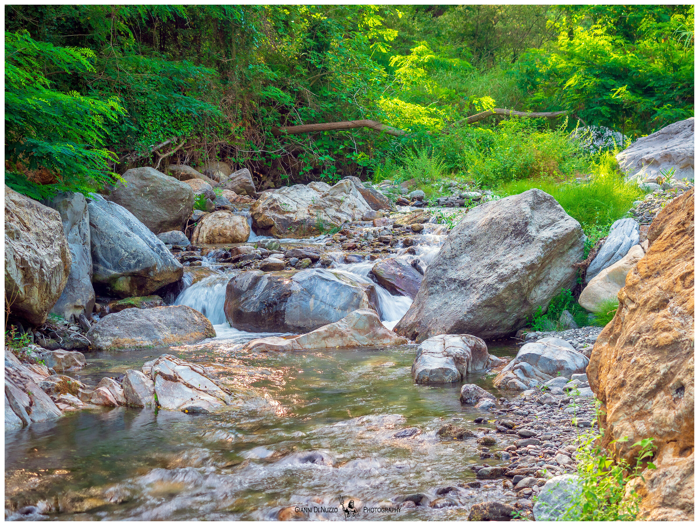 in mezzo al torrente 2