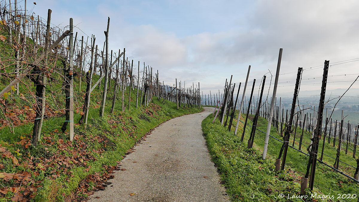 Descent between the rows