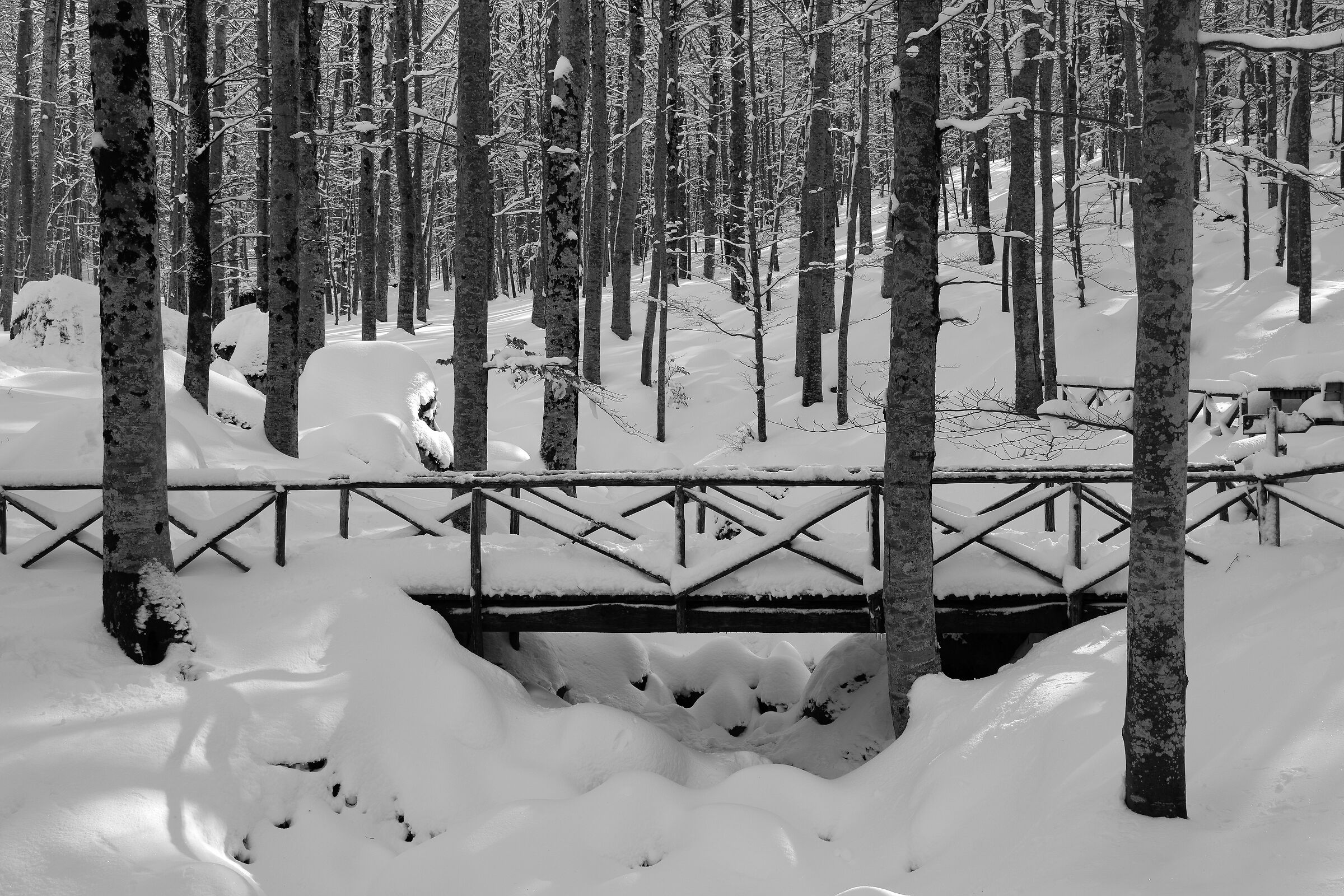 Neve 2021 Toscana Amiata