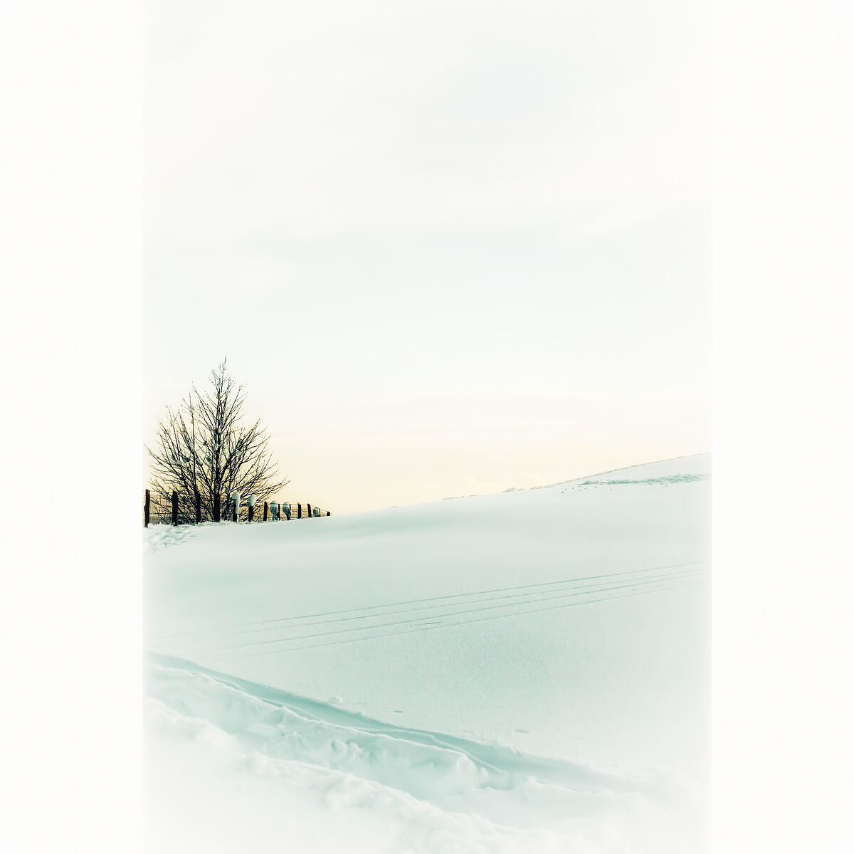 Untitled Photo