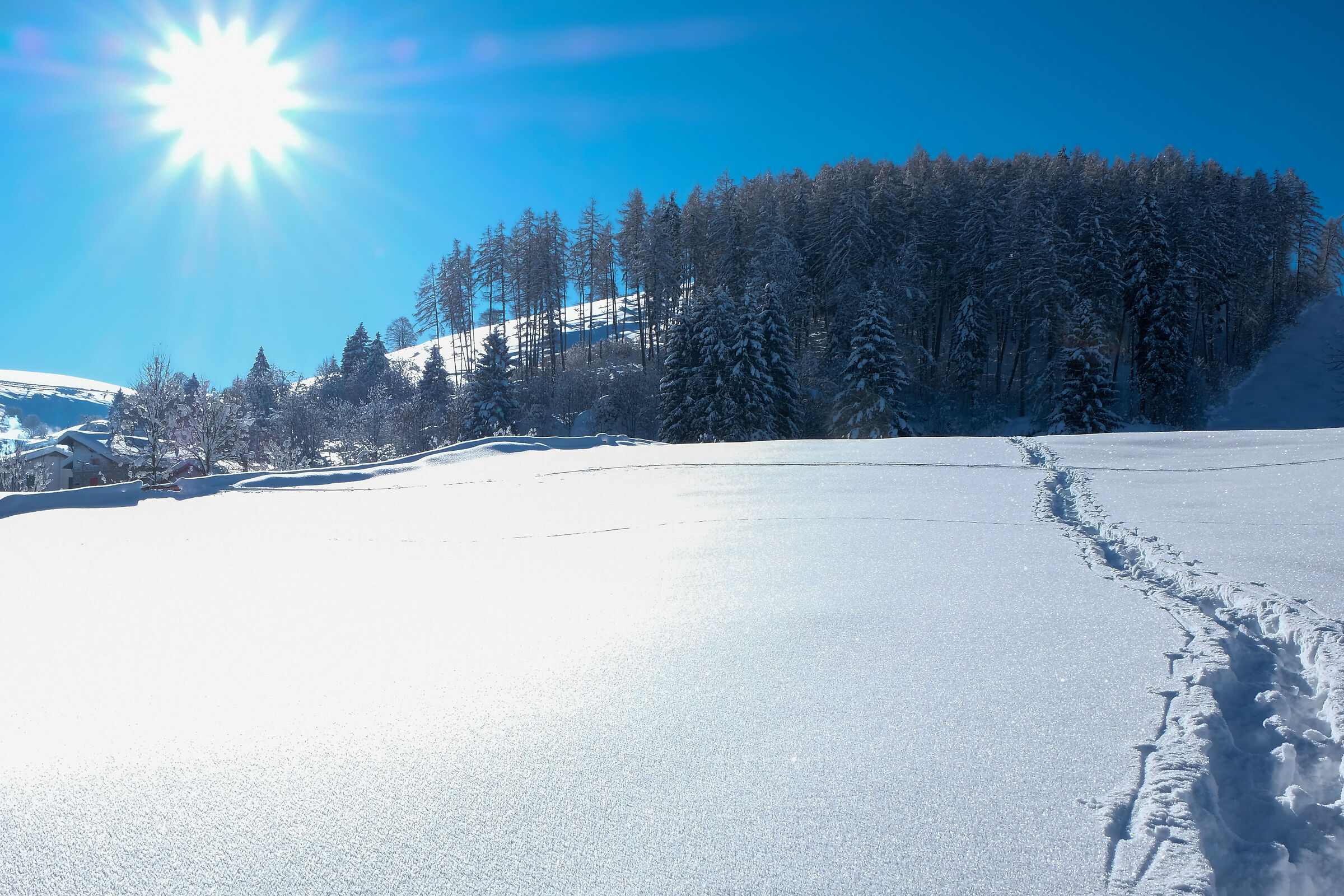 Panorama innevato