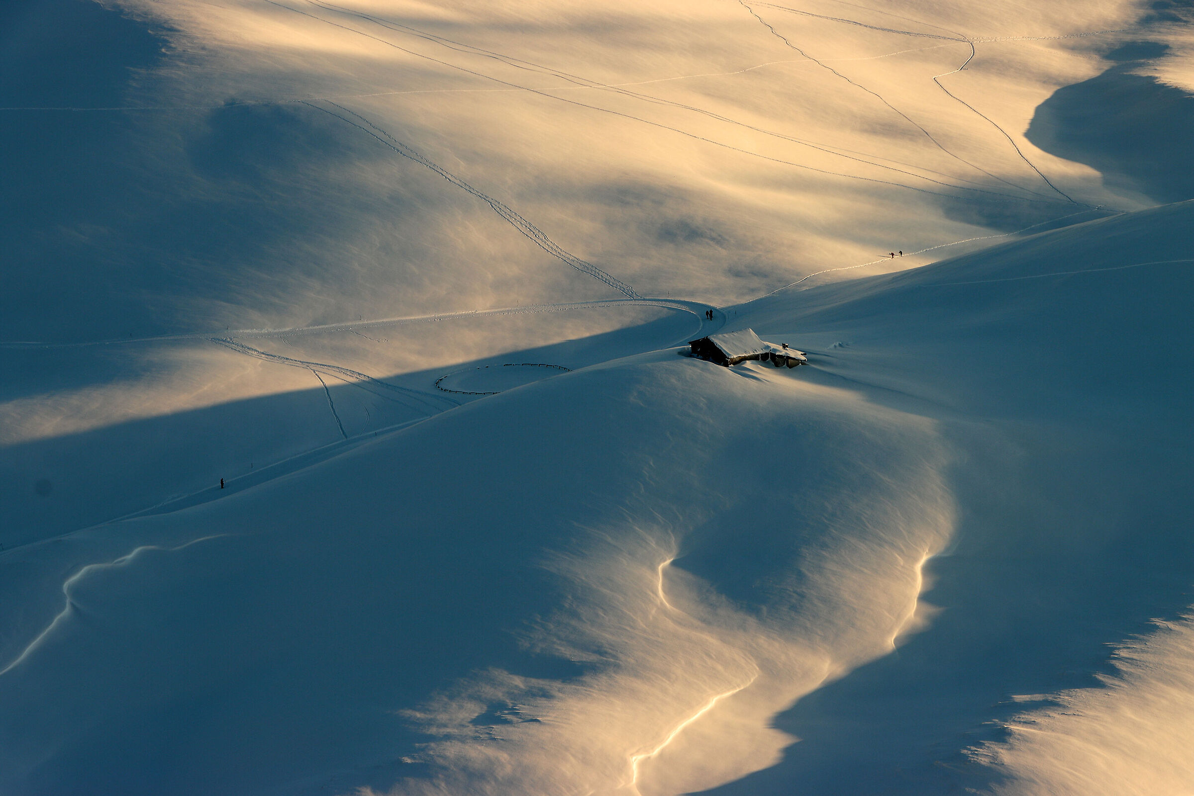 magic of the "white"