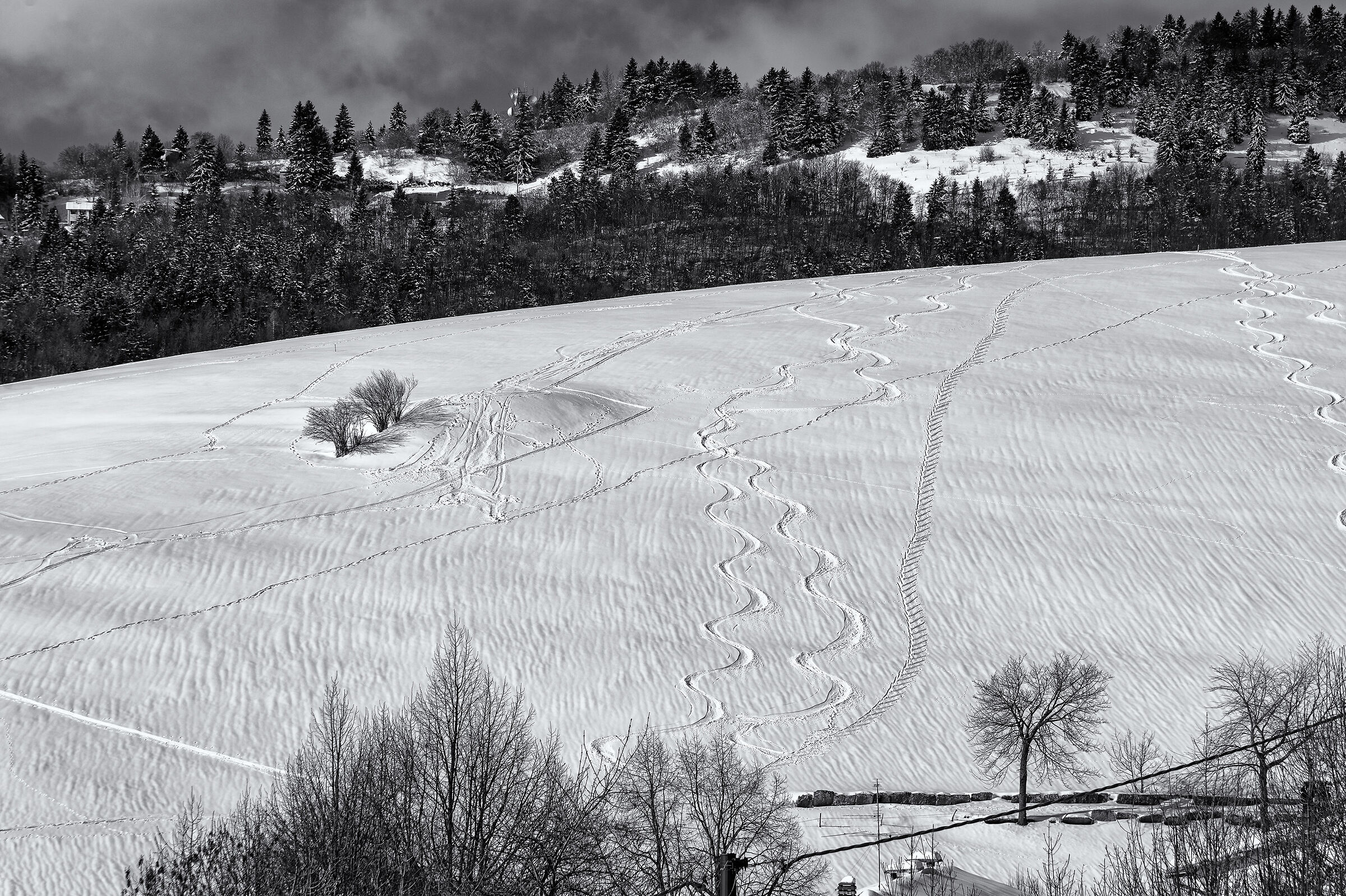 Children's come back