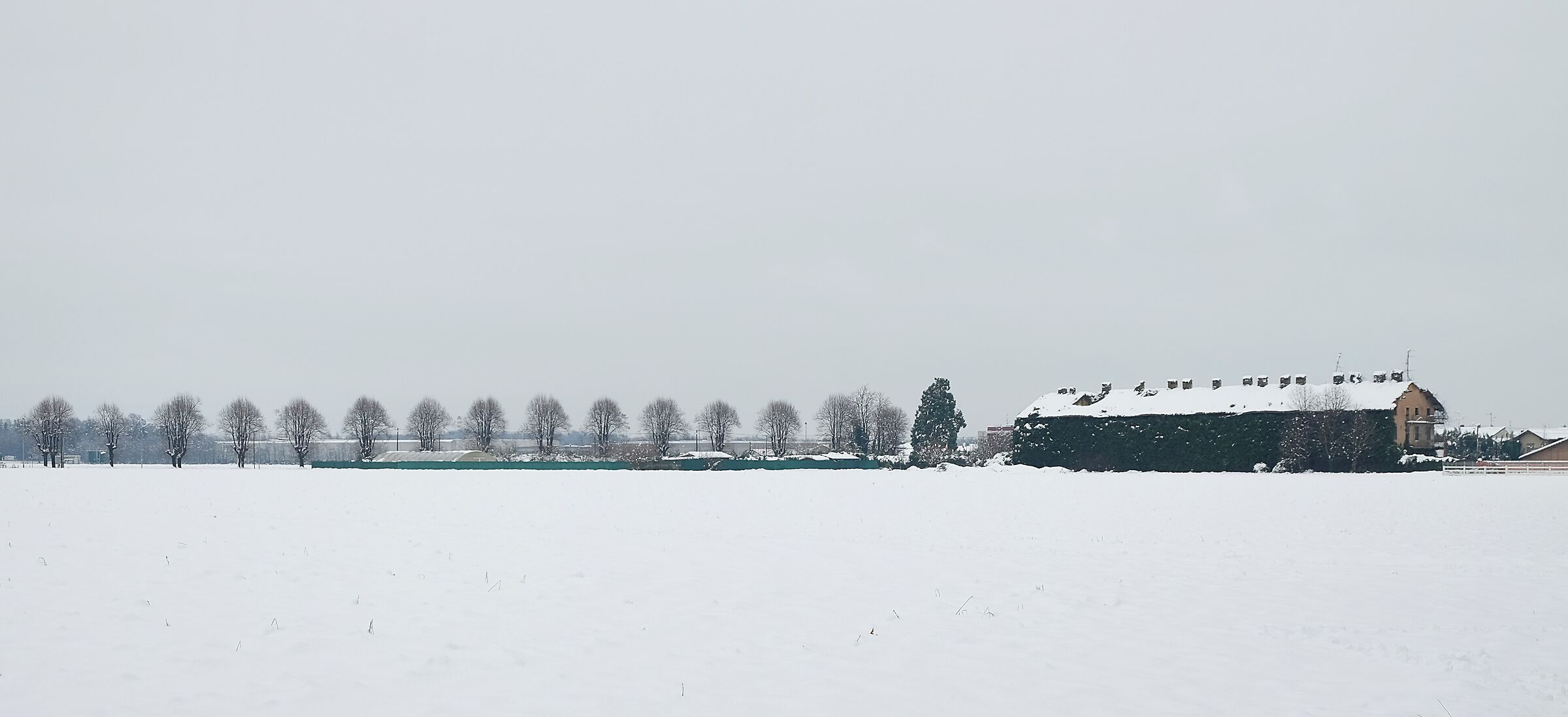 Untitled Photo