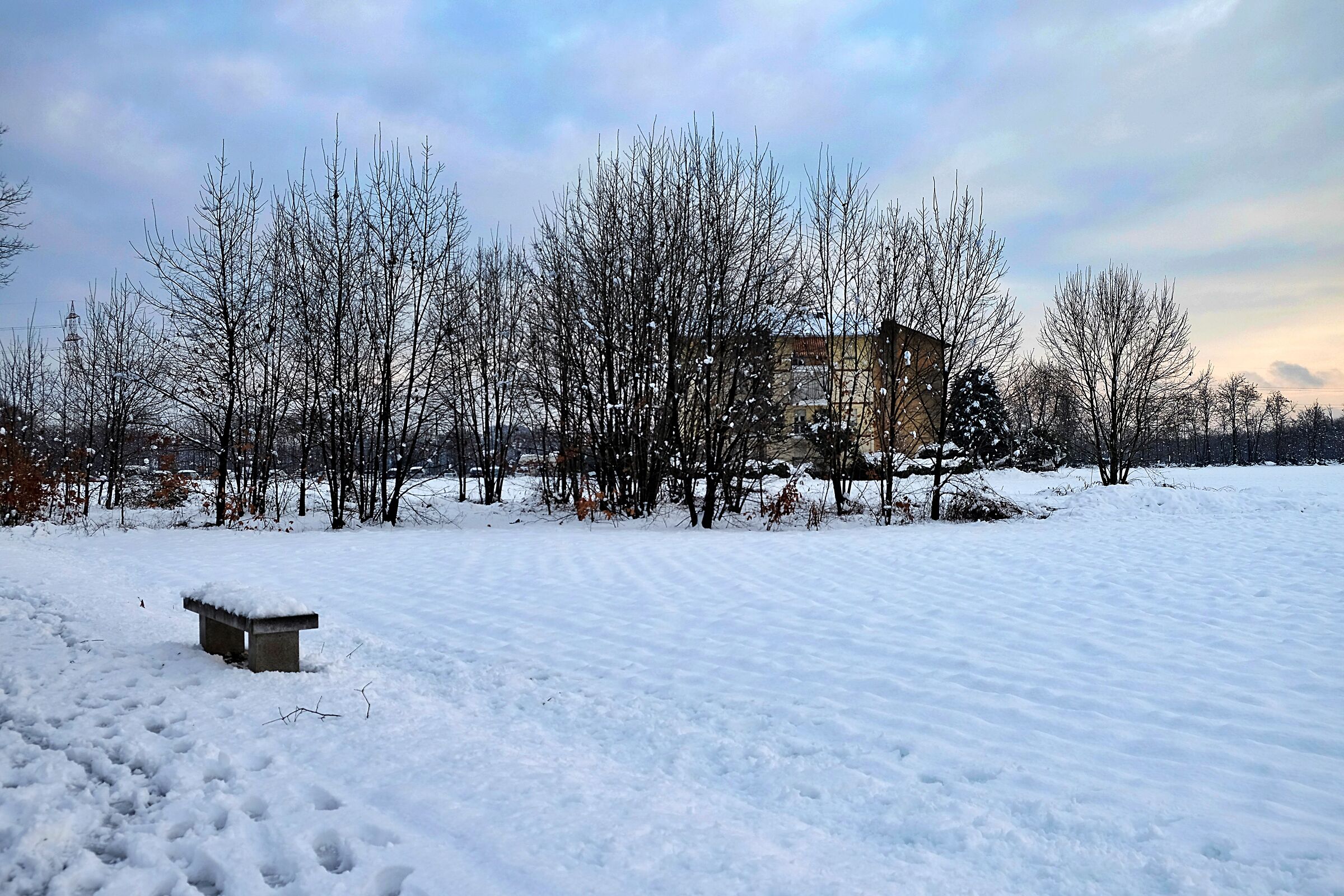 Untitled Photo