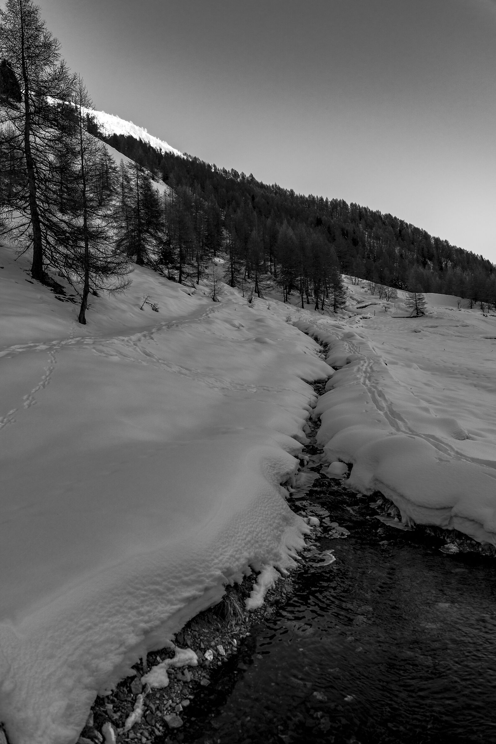 valley of the messi 3