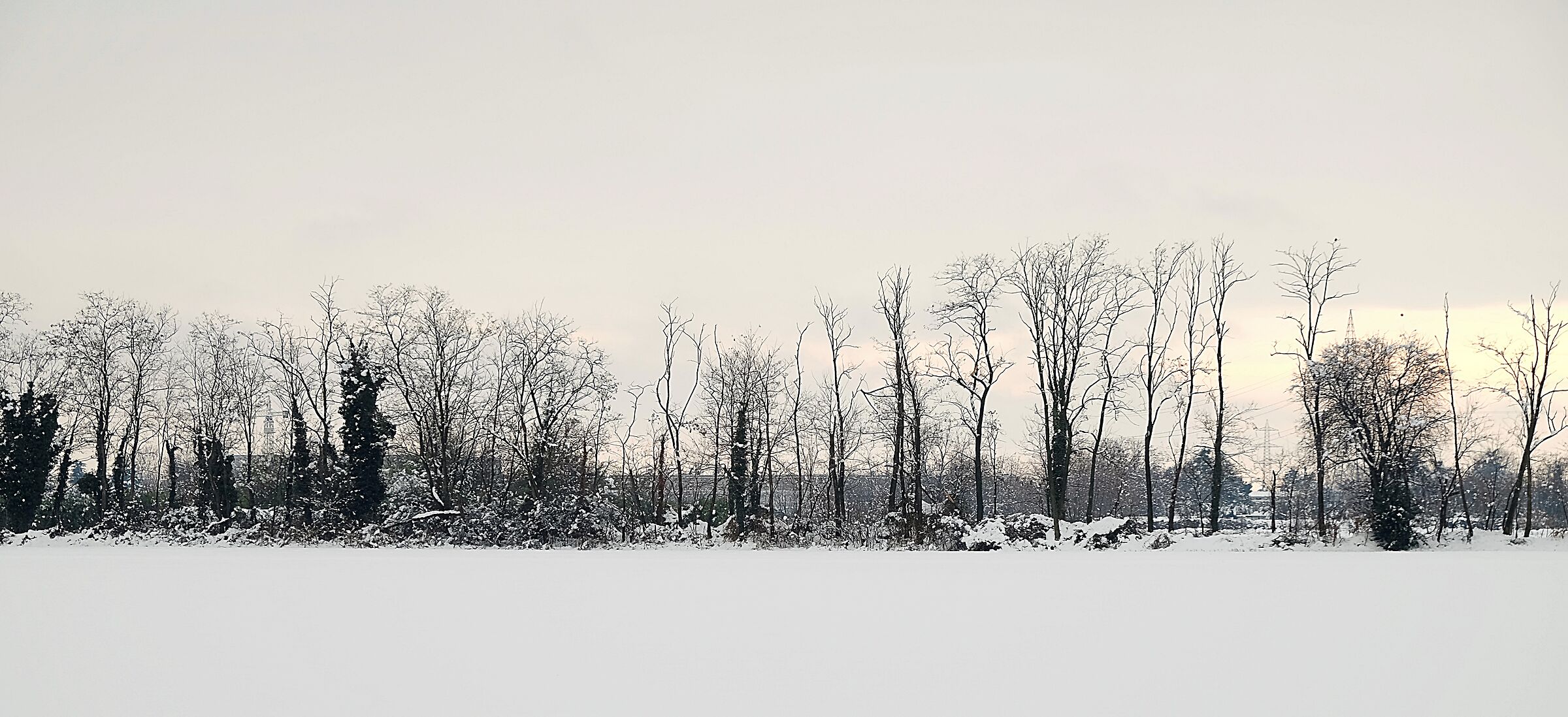 Untitled Photo