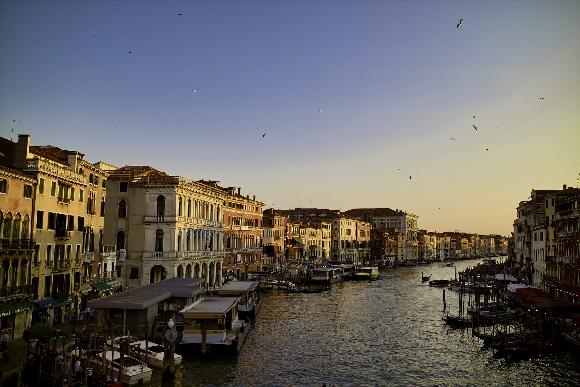 Venice