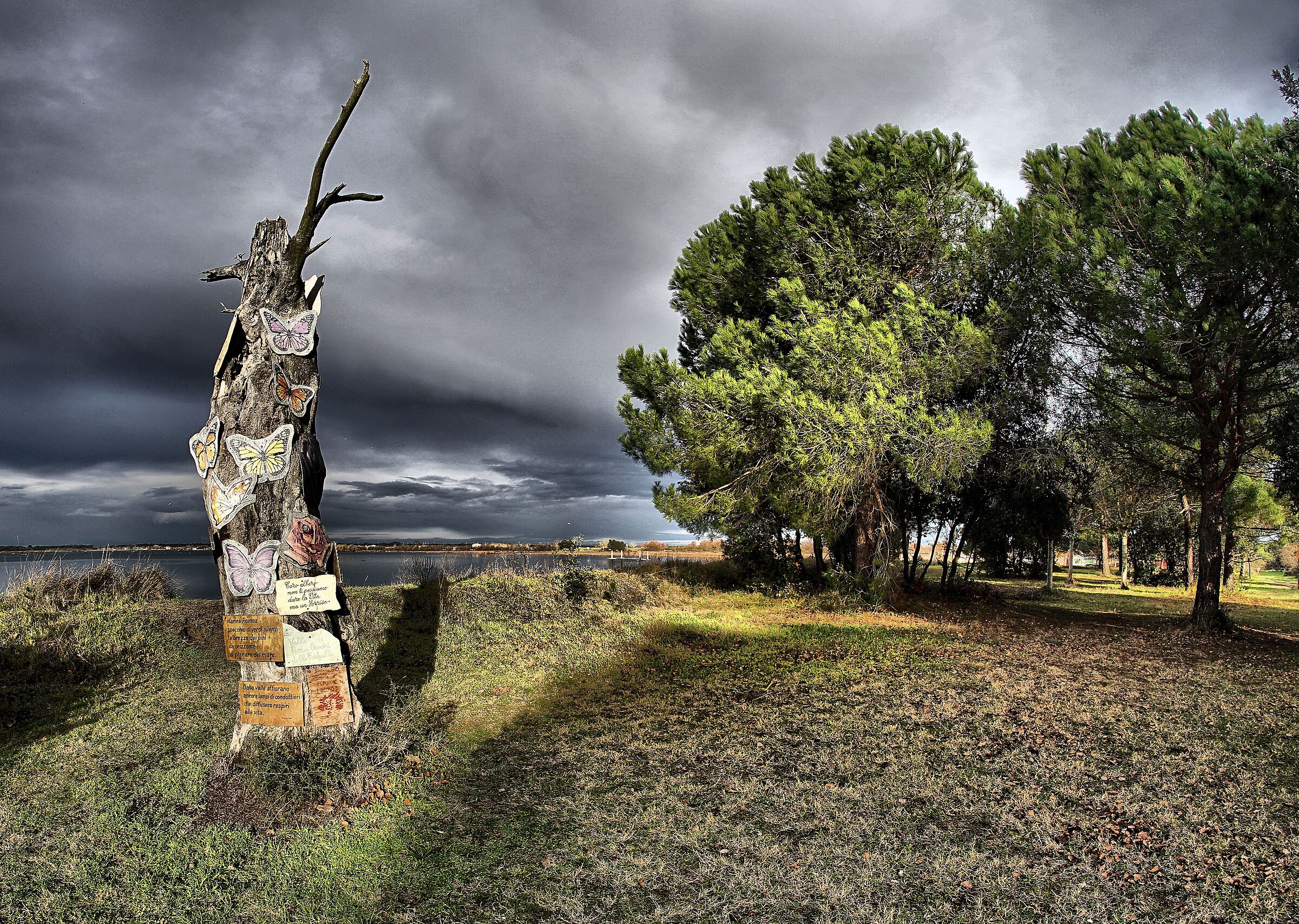 L'albero dei buoni pensieri.