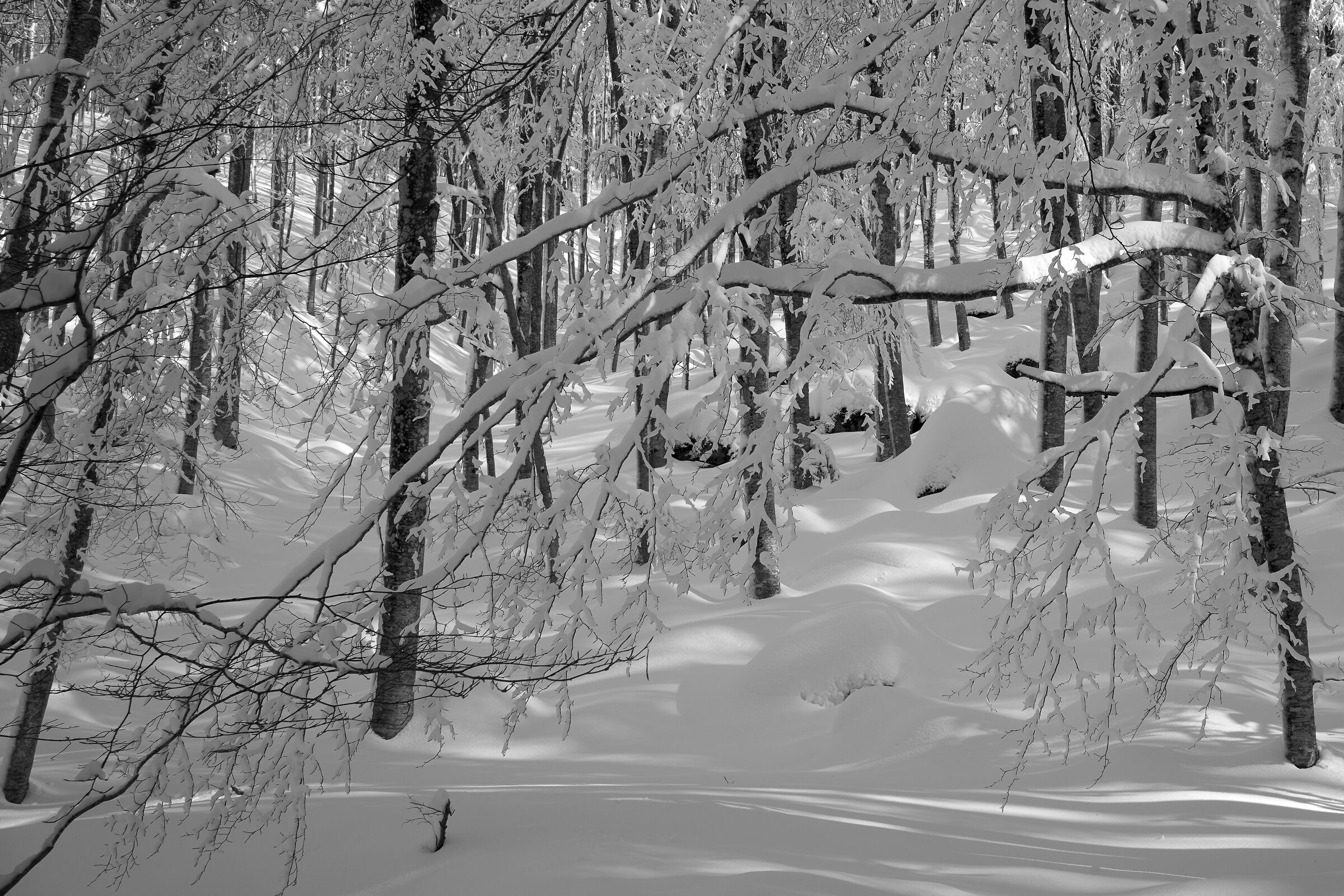 Neve 2021 Toscana Amiata