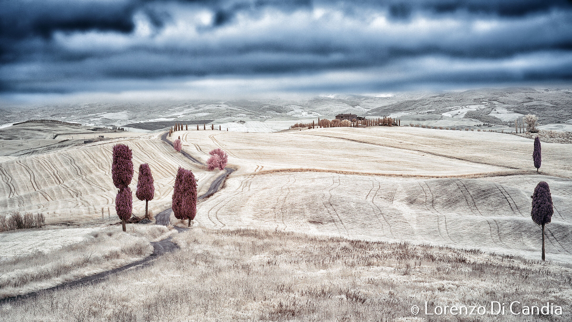 the Infrared Gladiator