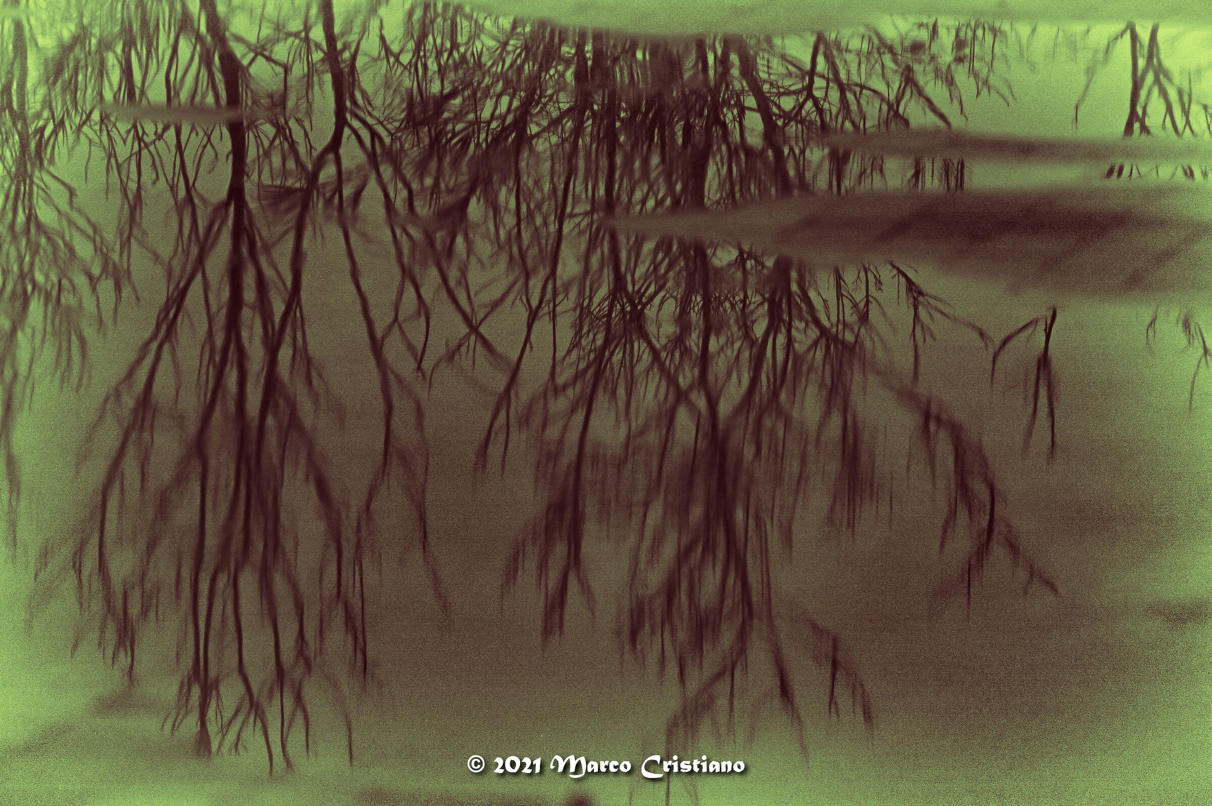 The poetry of reflections..